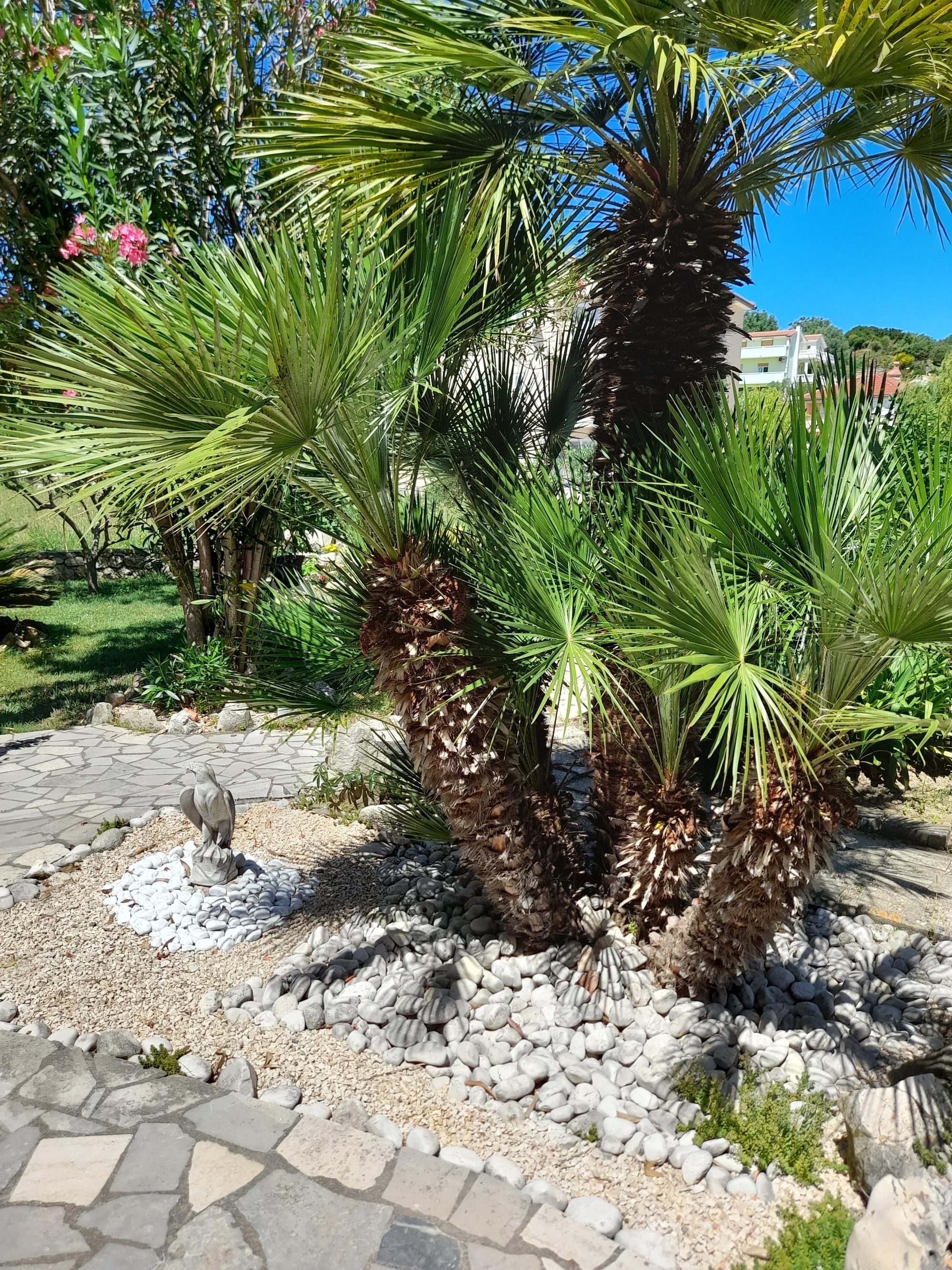 Top Rab Palit Top Rab Palit