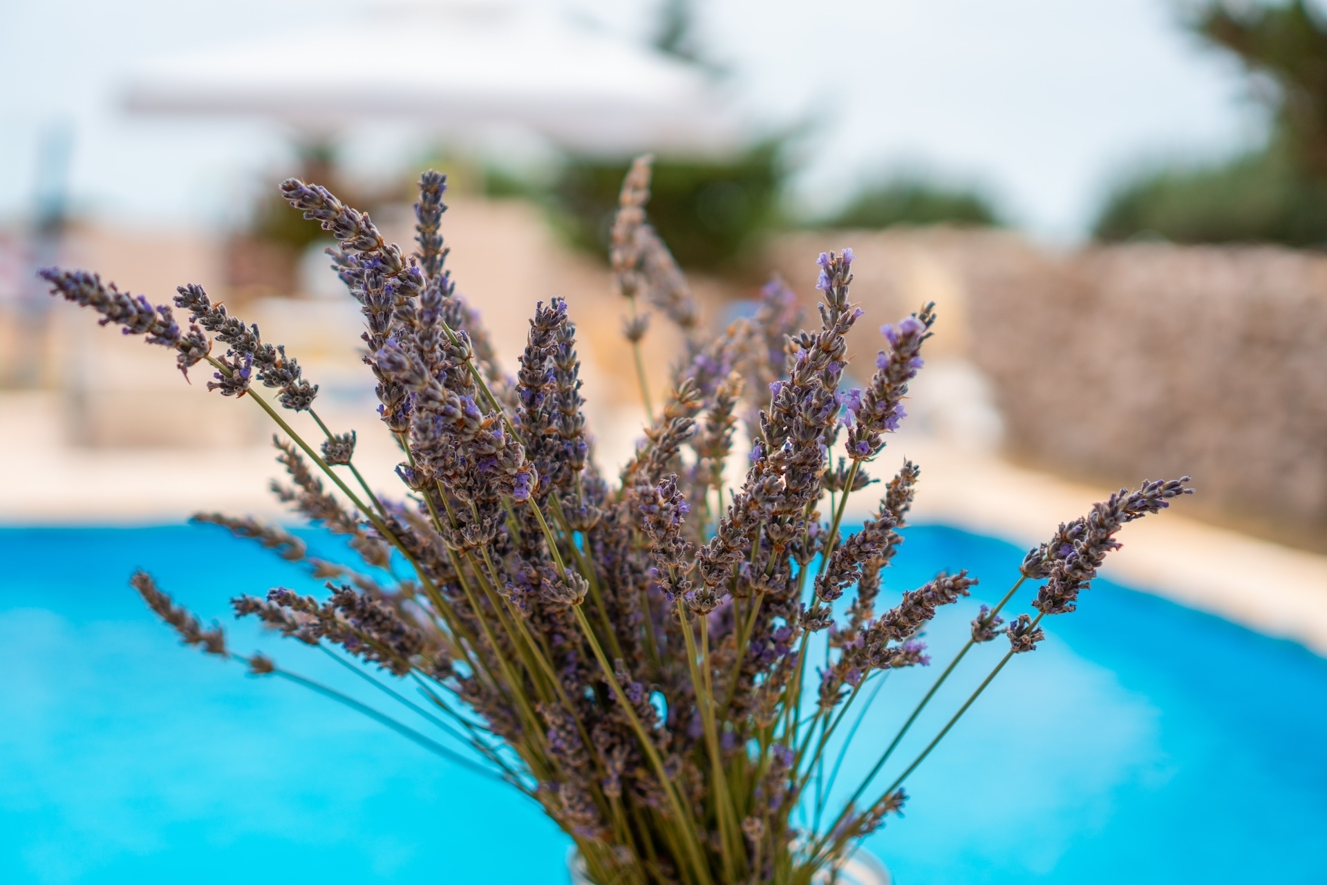 Comfortable and spacious house with balcony Košljun, Pag (K-22238)