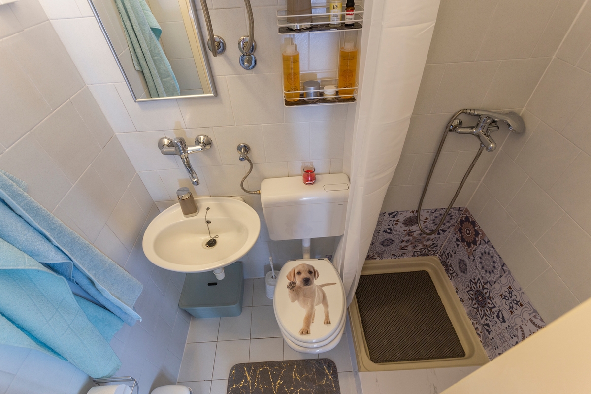 One bedroom house with terrace Vinež, Labin  K