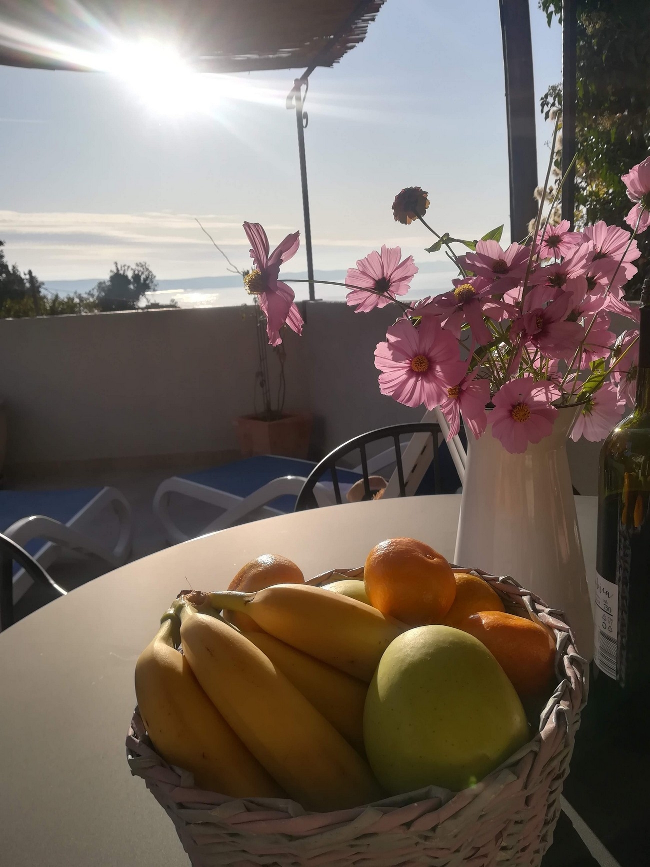 One bedroom house with terrace and sea view Gornja Podgora, Makarska  K
