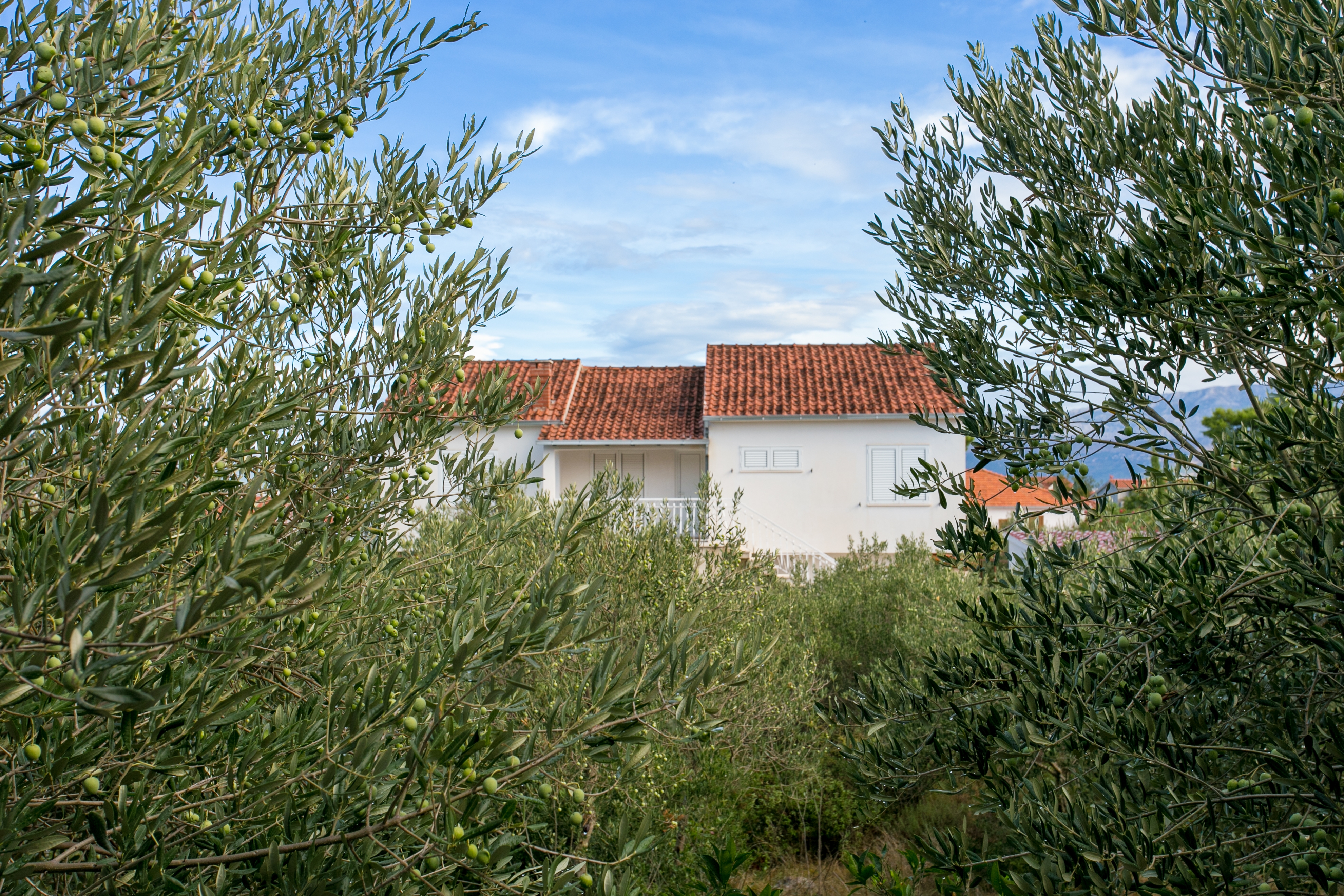 Two bedroom house with terrace Mirca, Brač  K
