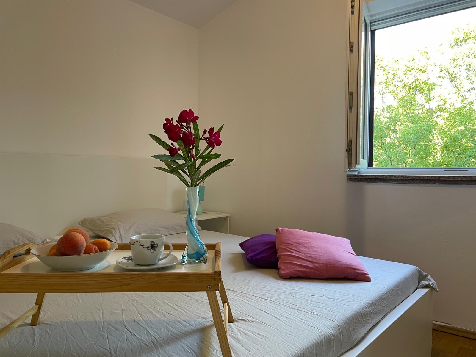 Top Zagora Grubine Top Zagora Grubine