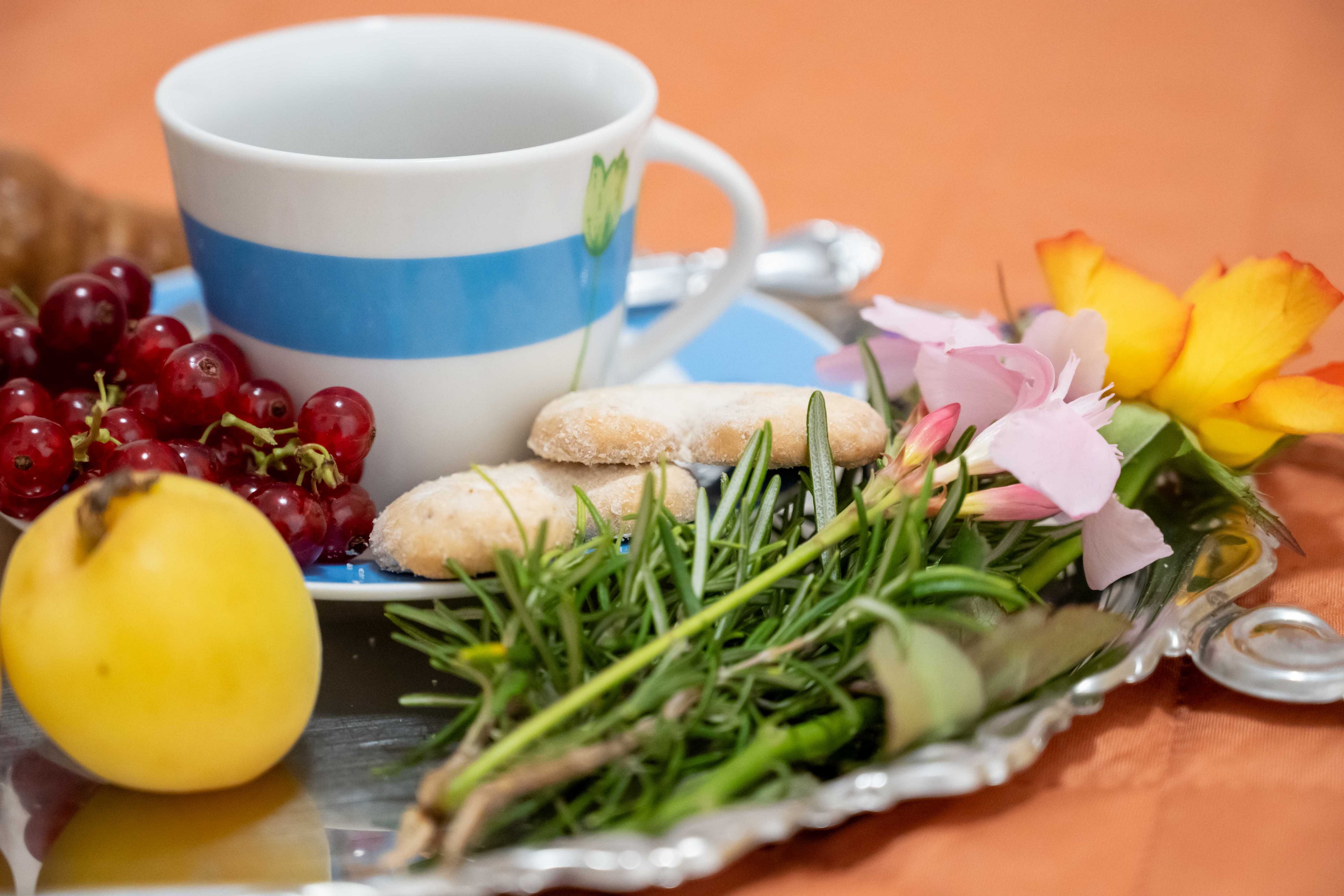 Top Vodice Top Vodice