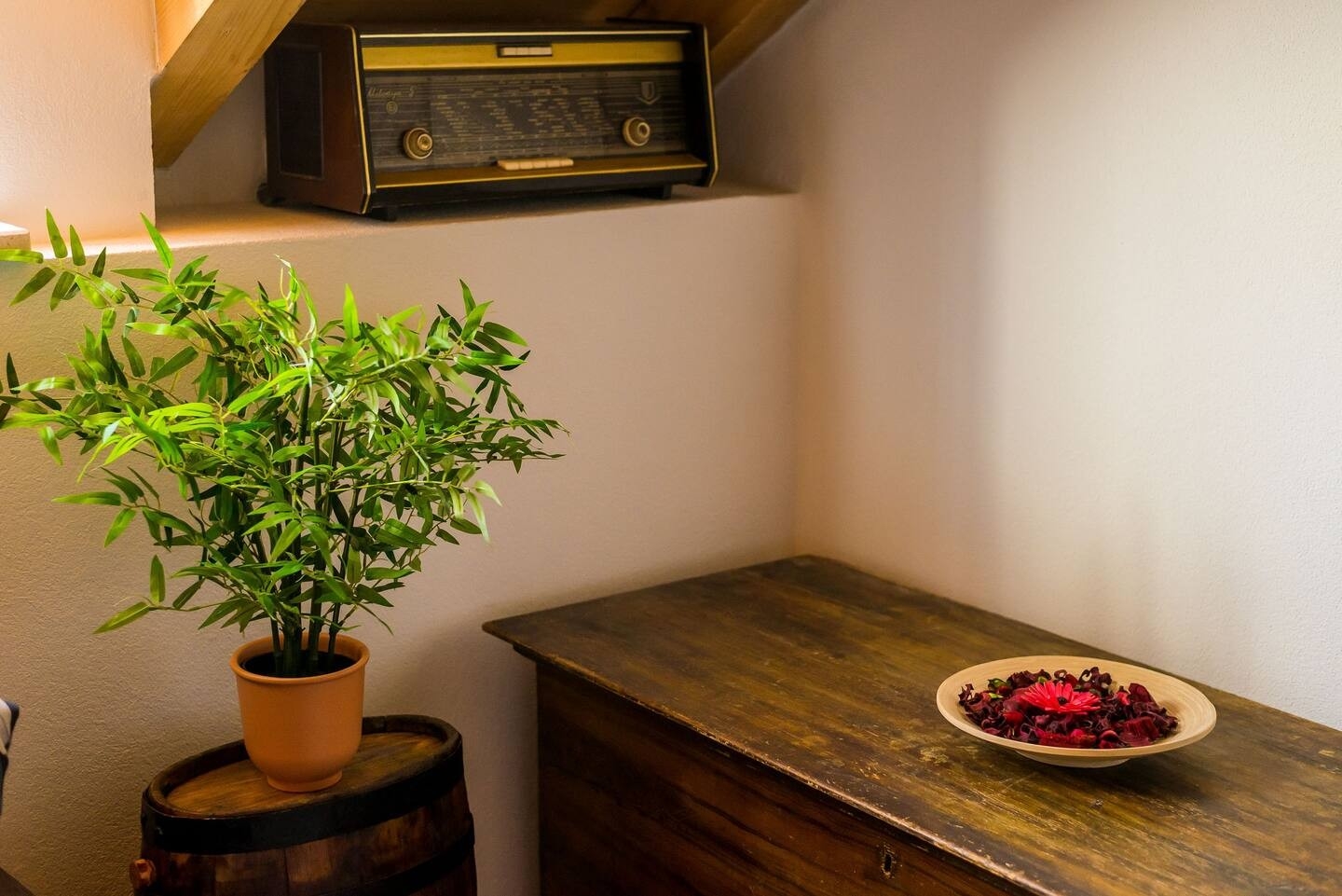 Top Mljet Korita Top Mljet Korita