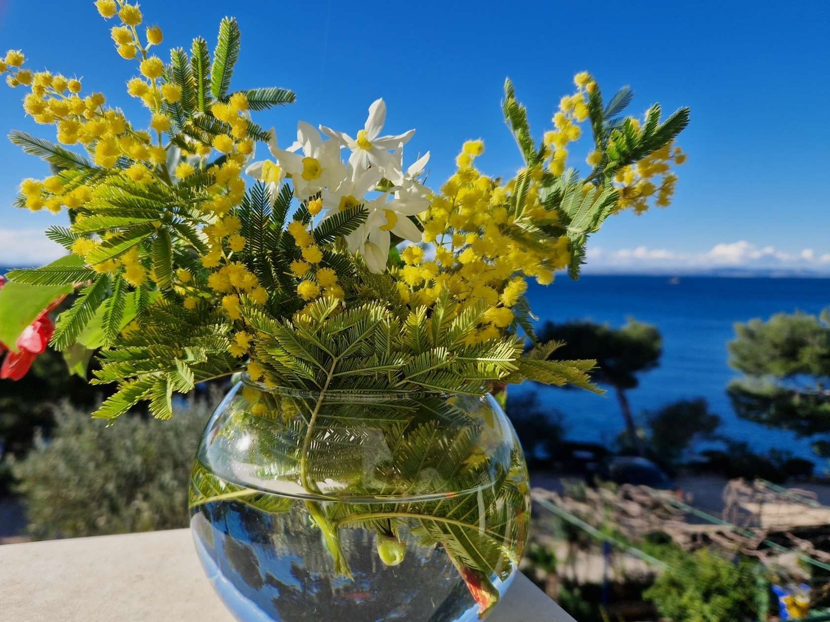 Top Murter Top Murter