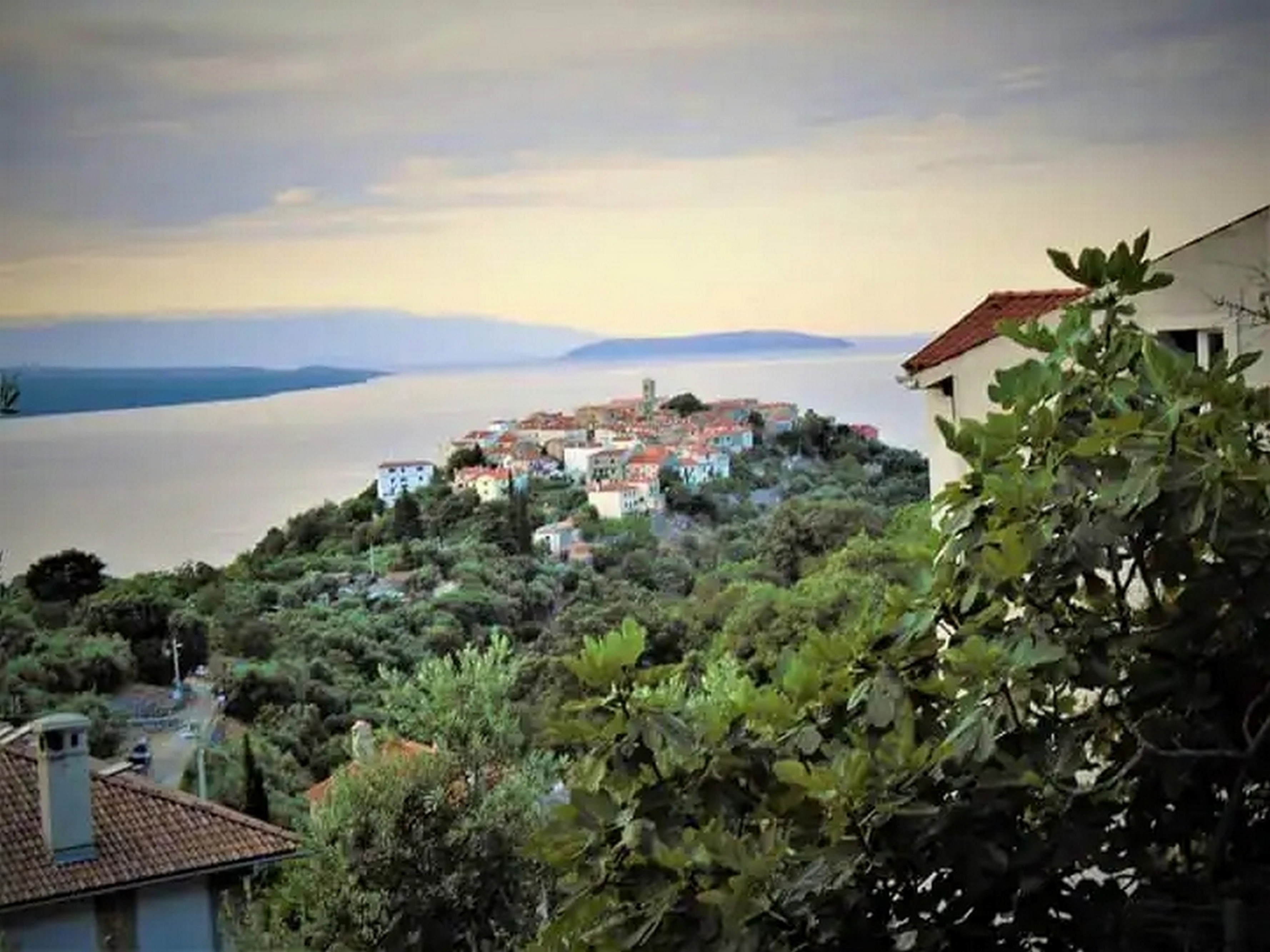 Top Cres Beli Top Cres Beli