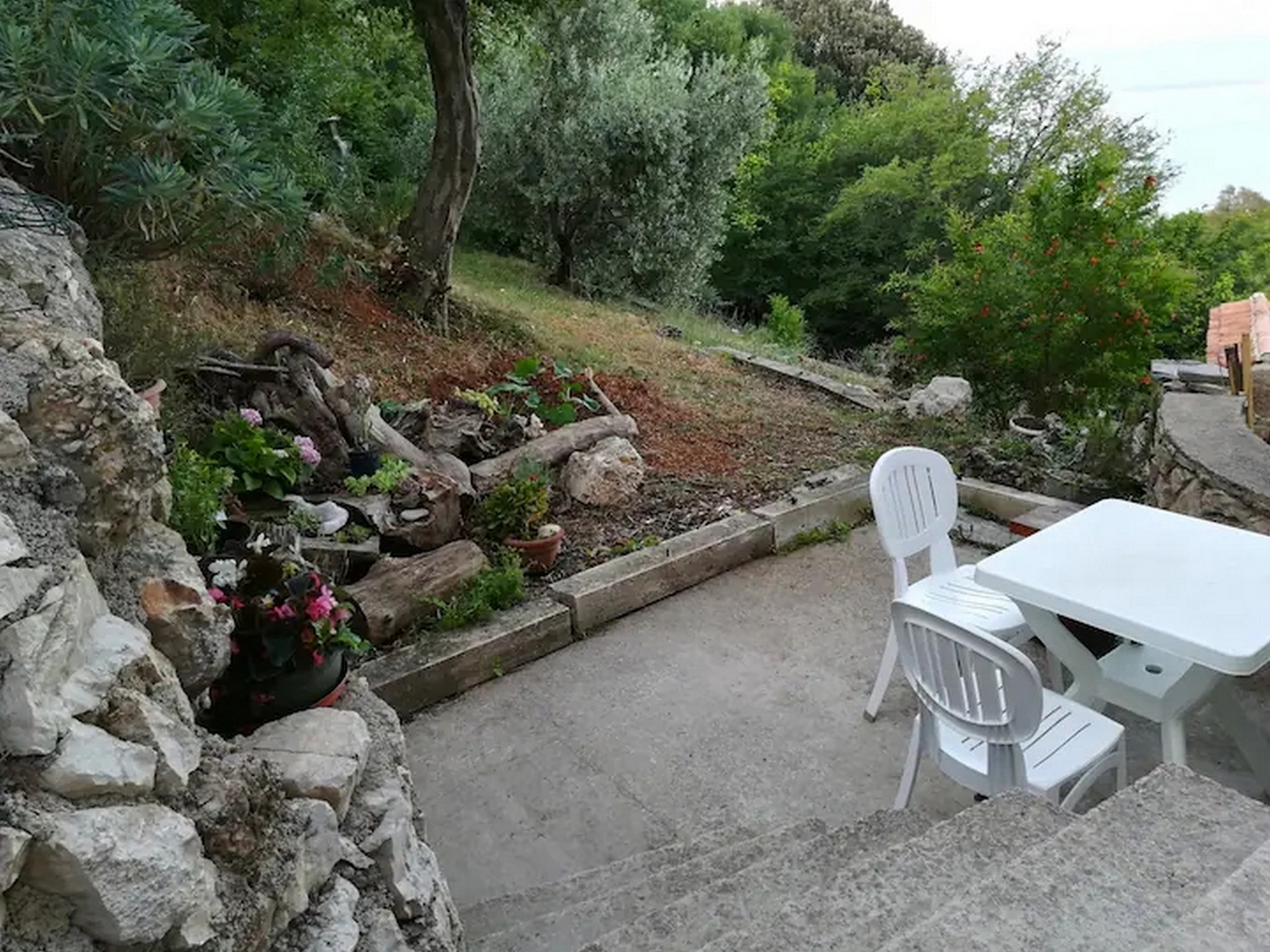 Studio flat with terrace and sea view Beli, Cres (AS-22435-b) Studio flat with terrace and sea view Beli, Cres (AS-22435-b)