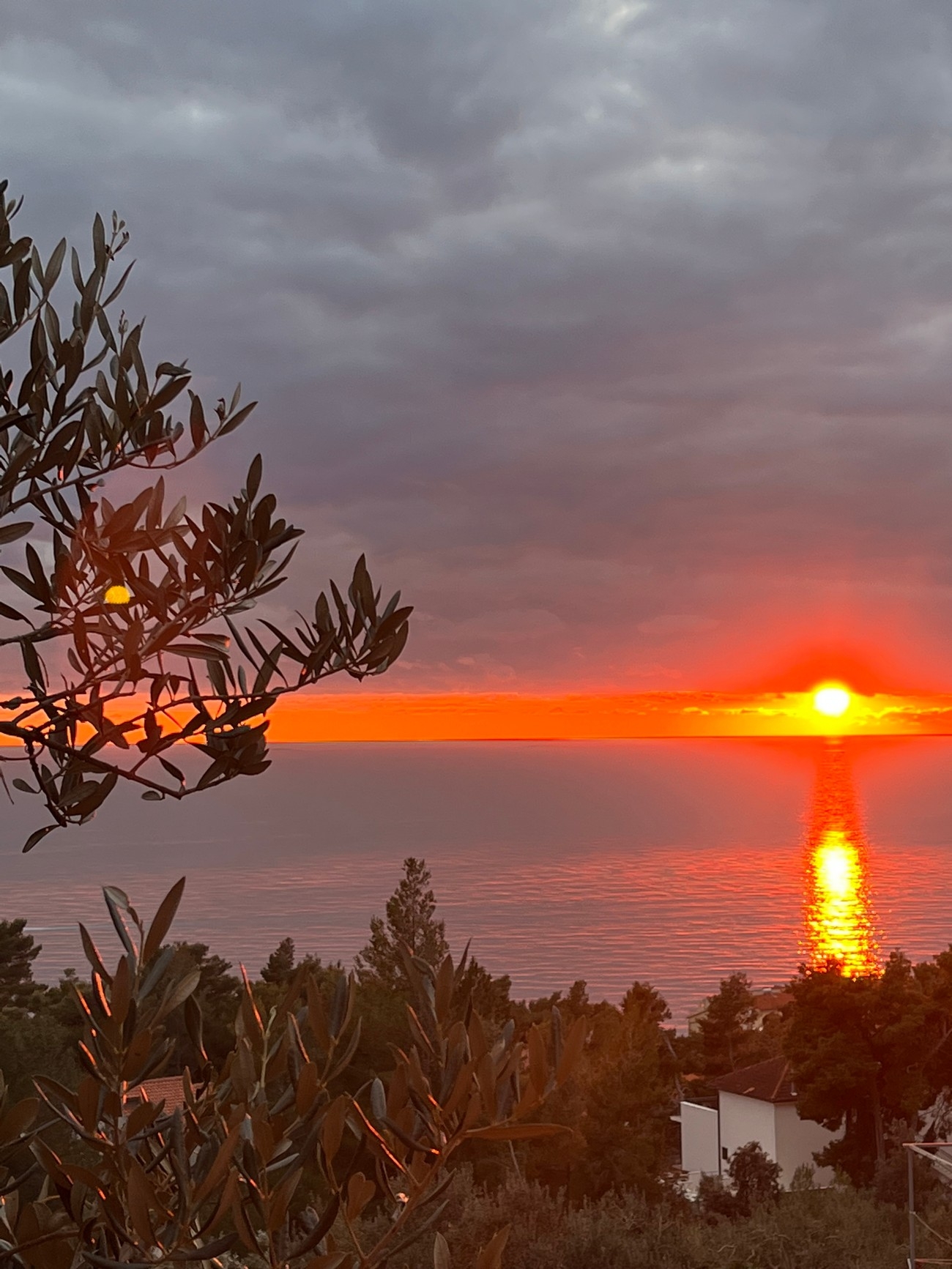One bedroom apartment with terrace and sea view Ivan Dolac, Hvar  A-a