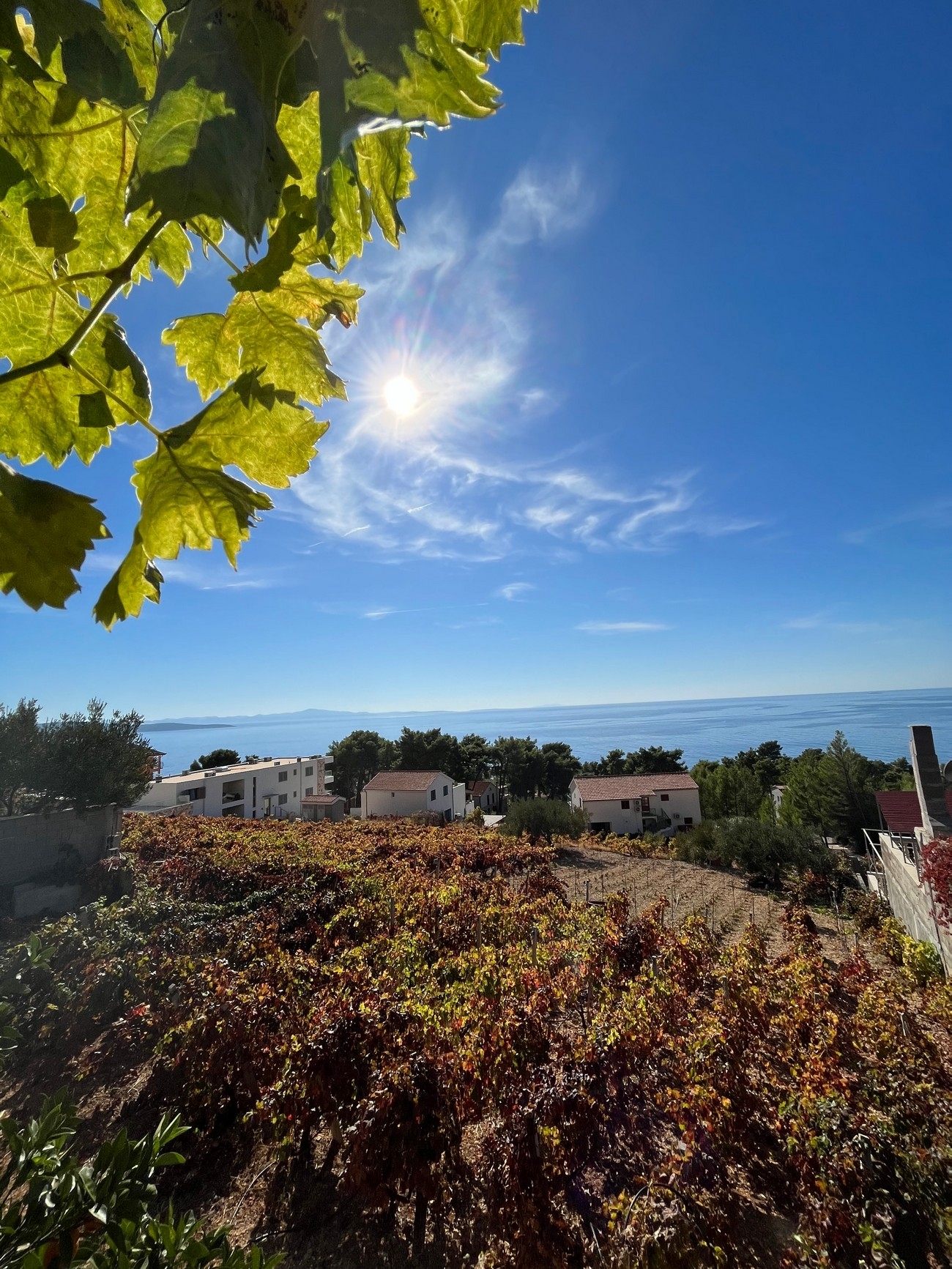 One bedroom apartment with terrace and sea view Ivan Dolac, Hvar  A-a