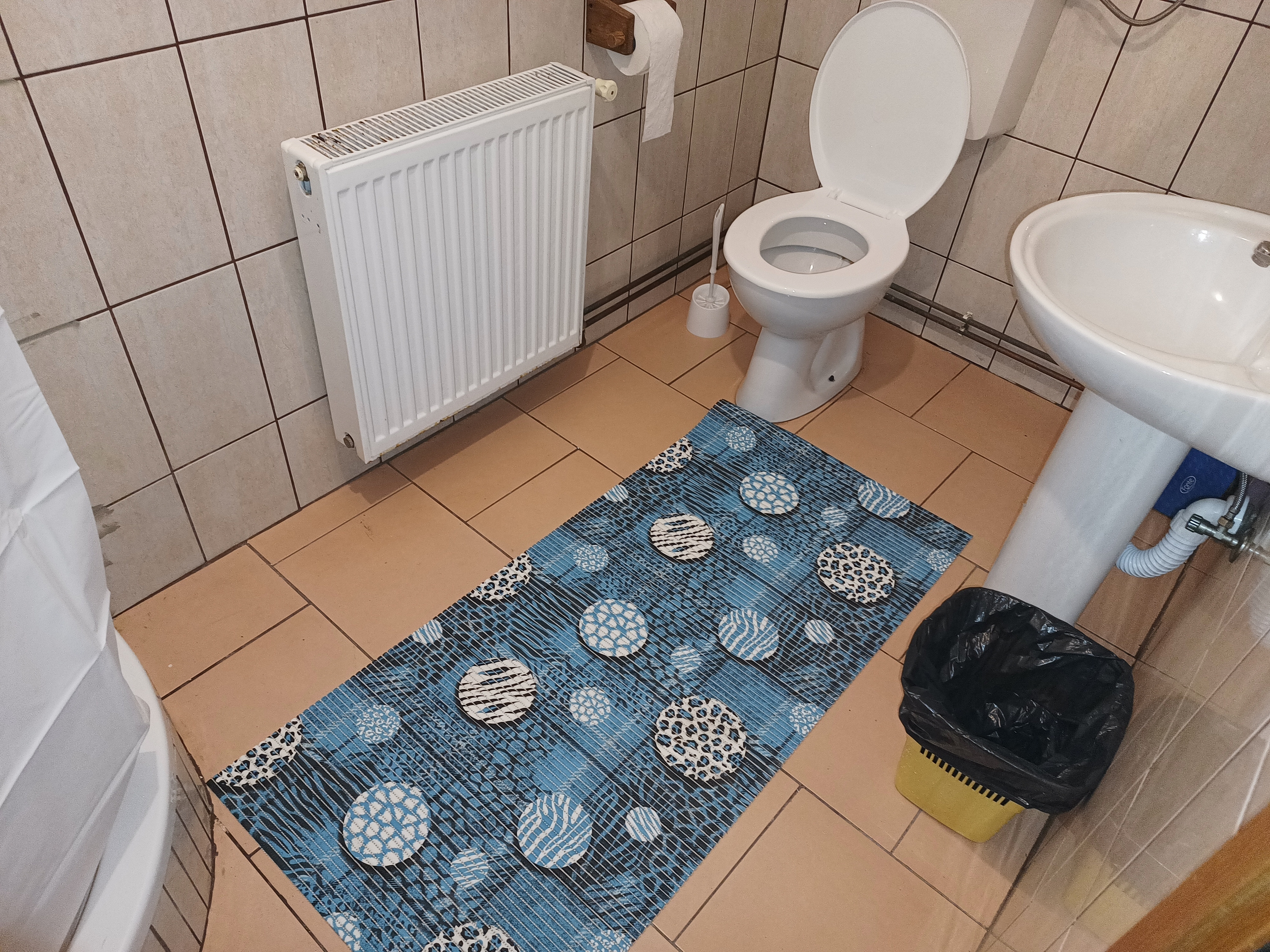 Comfortable and spacious house with terrace Dalj, Slavonija  K