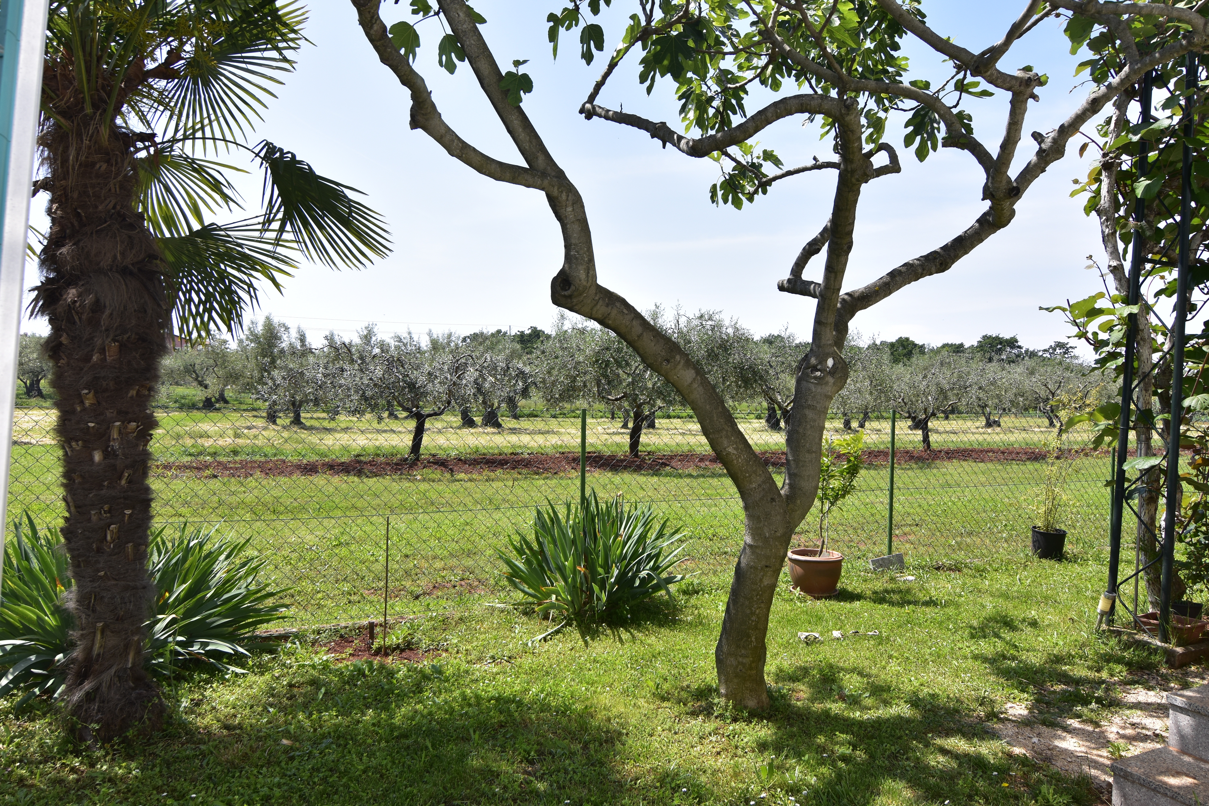 Studio flat Sveti Ivan, Umag (AS-22472-a)