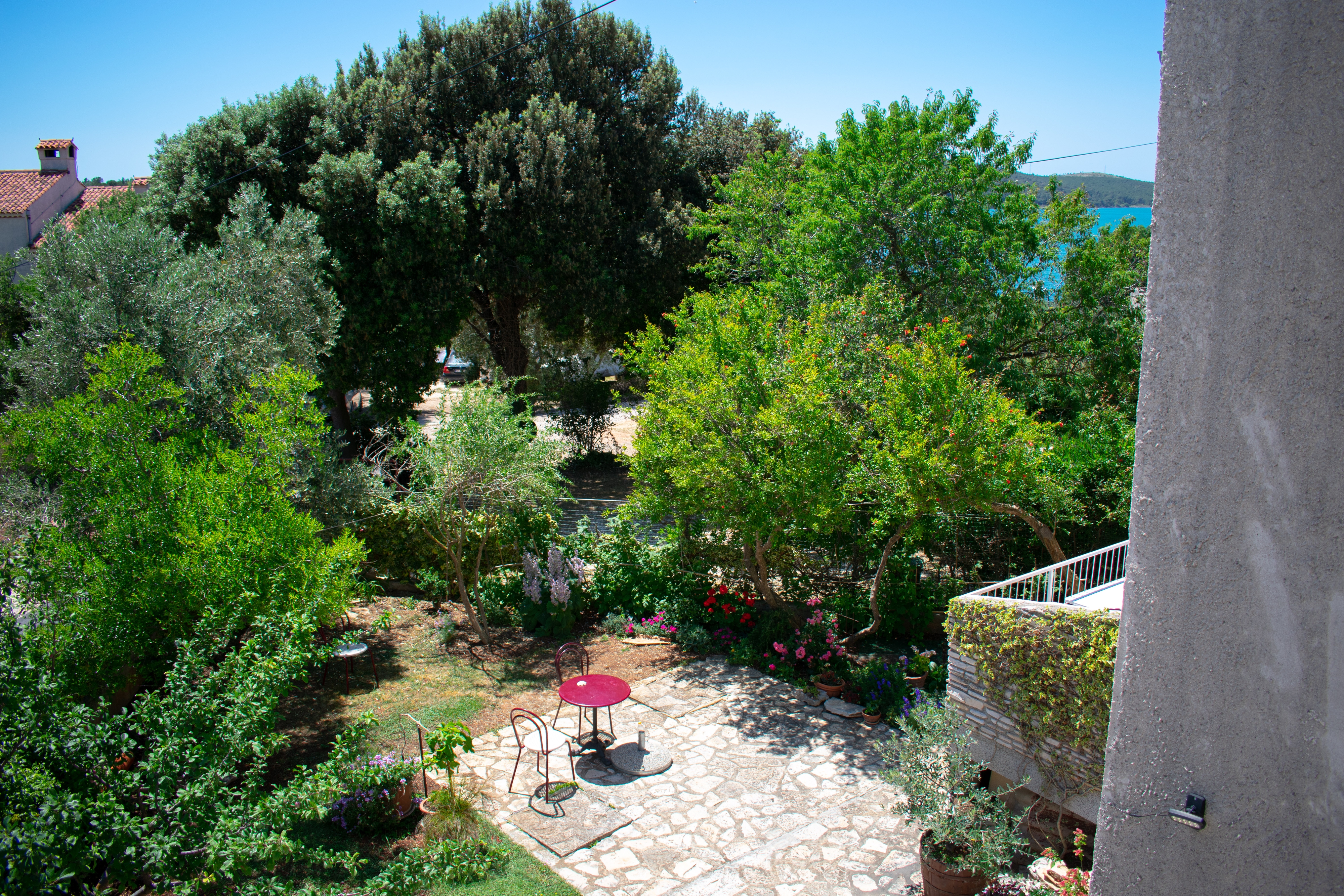 Top Medulin Top Medulin