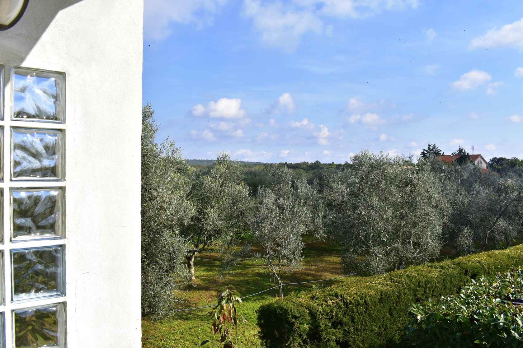 One bedroom apartment with balcony Sosi, Umag  A-a