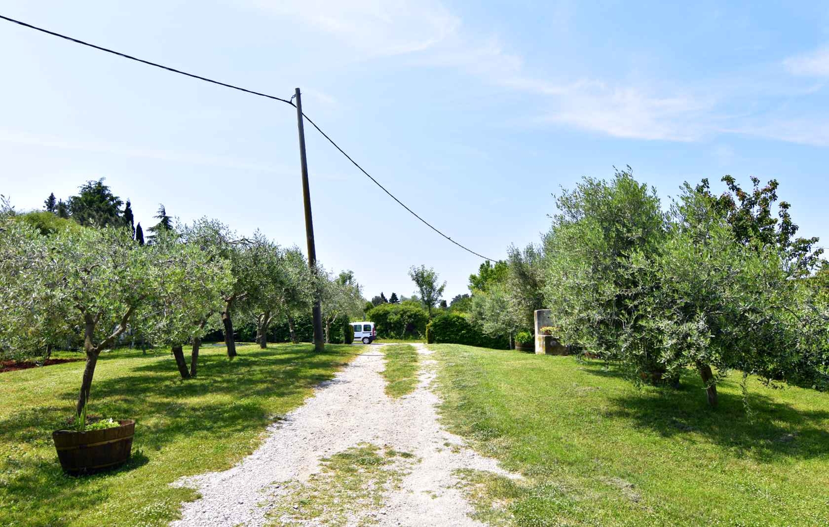 Top Umag Đuba Top Umag Đuba