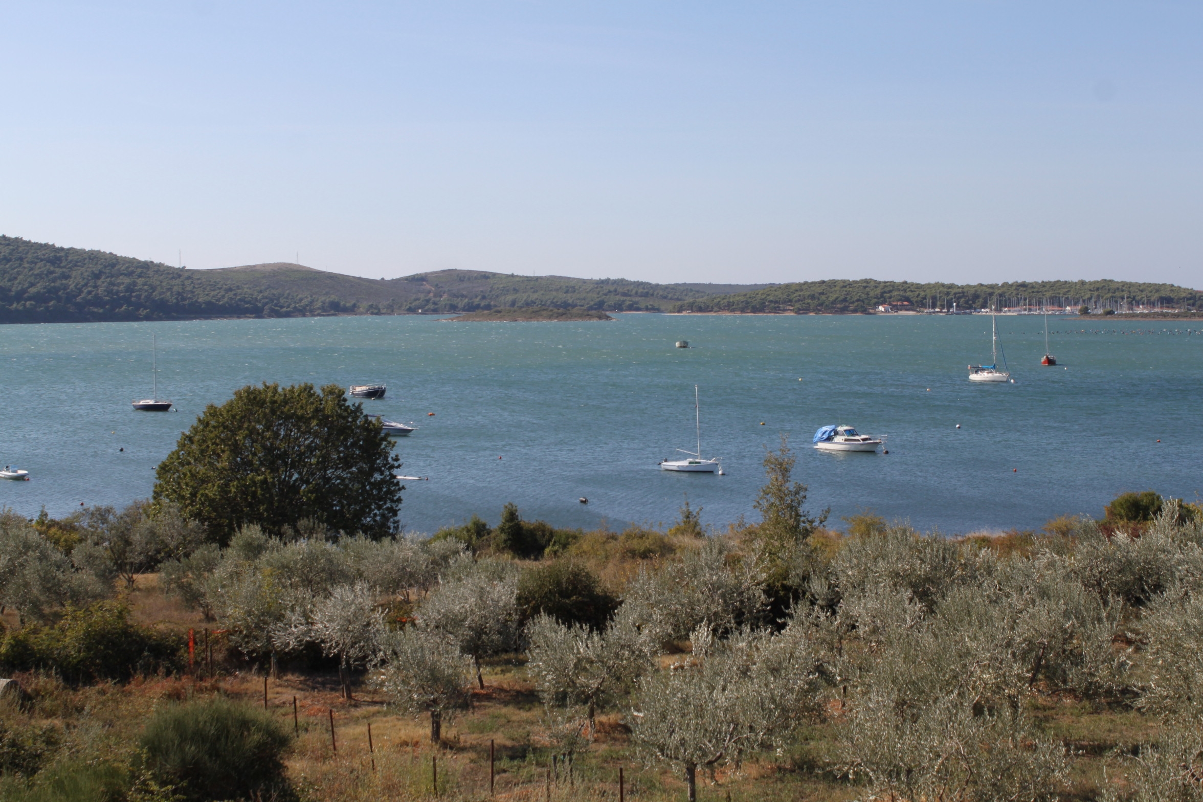 Top Medulin Top Medulin