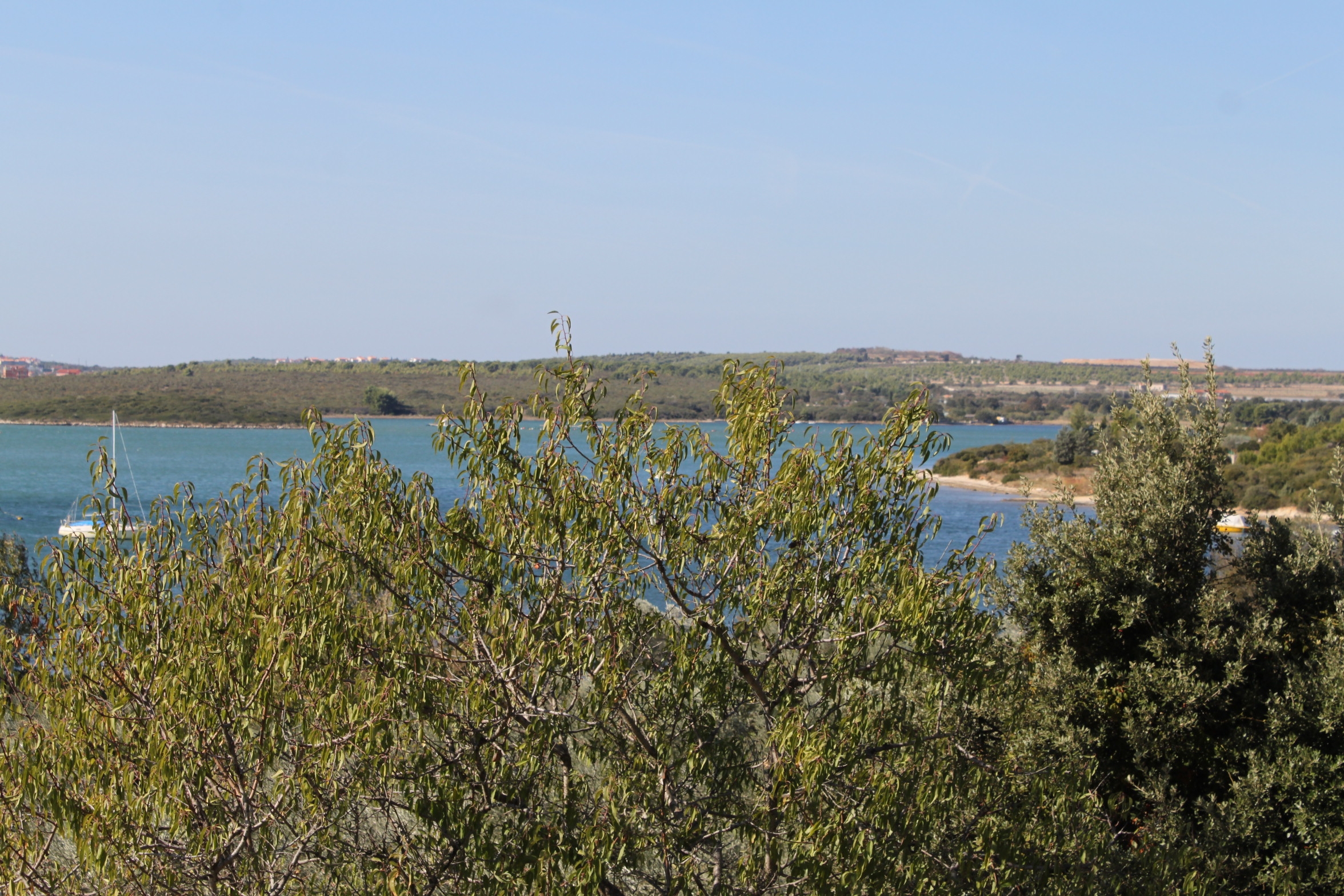 Top Medulin Top Medulin