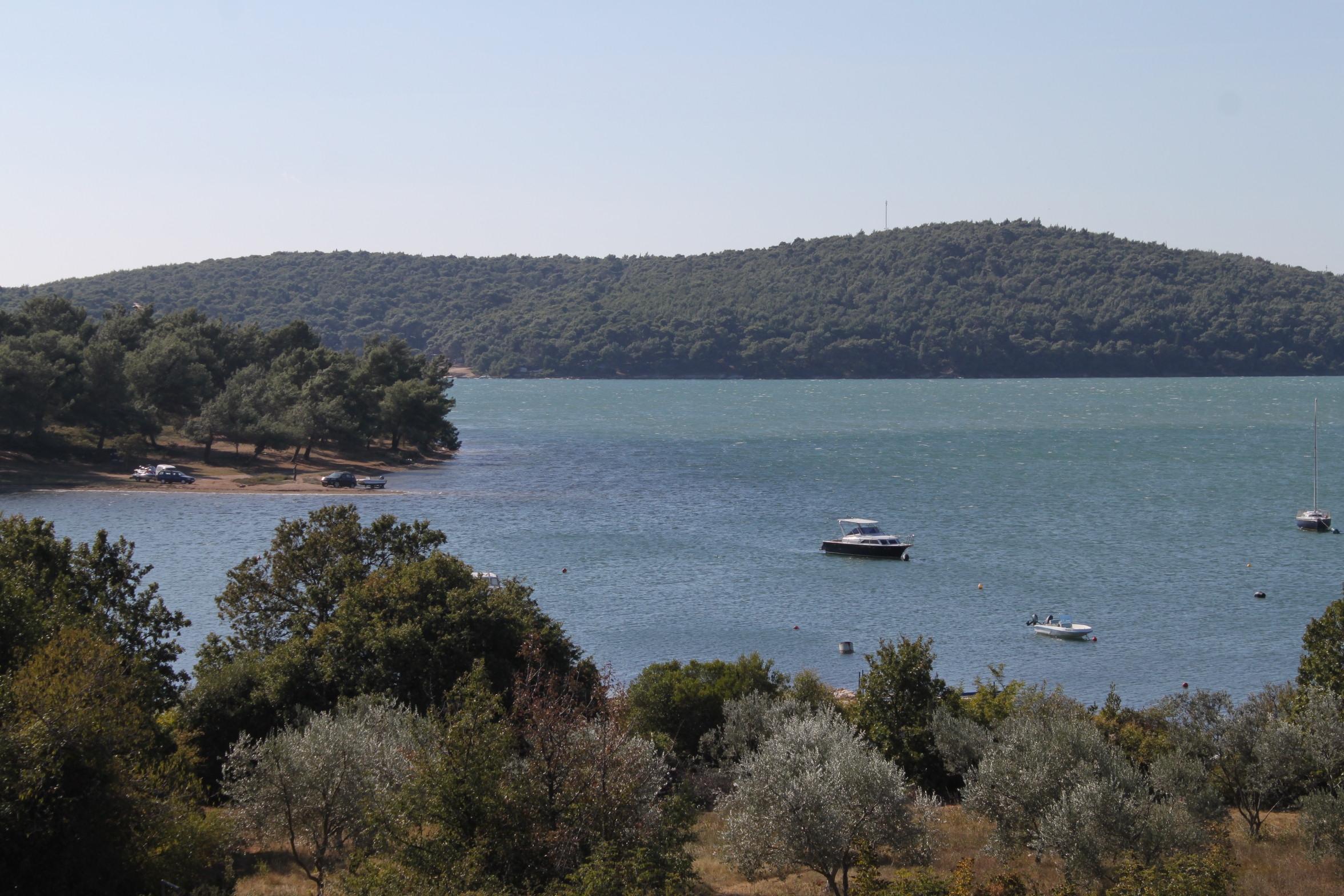 Top Medulin Top Medulin