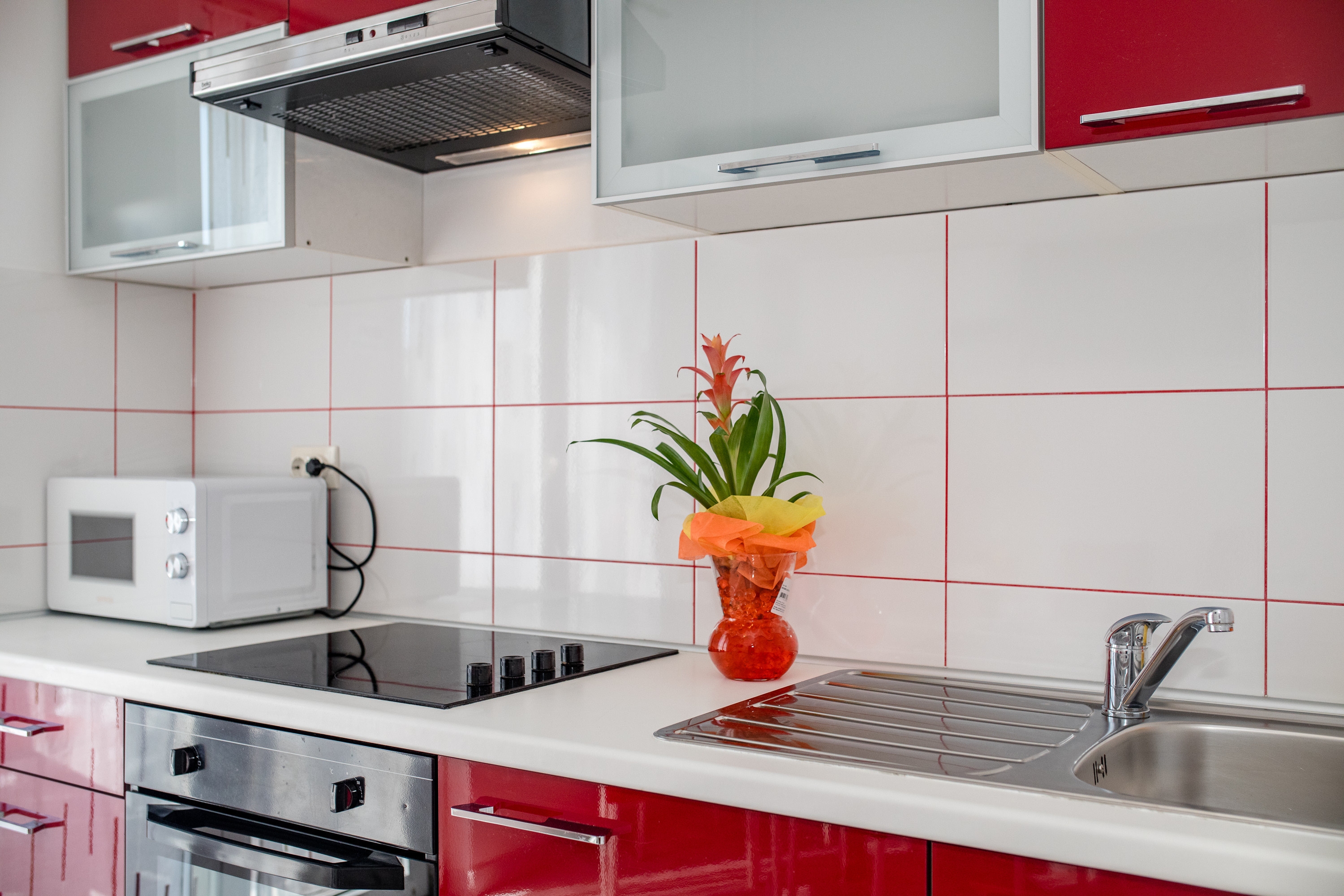 One bedroom apartment with balcony Lopar, Rab  A-c
