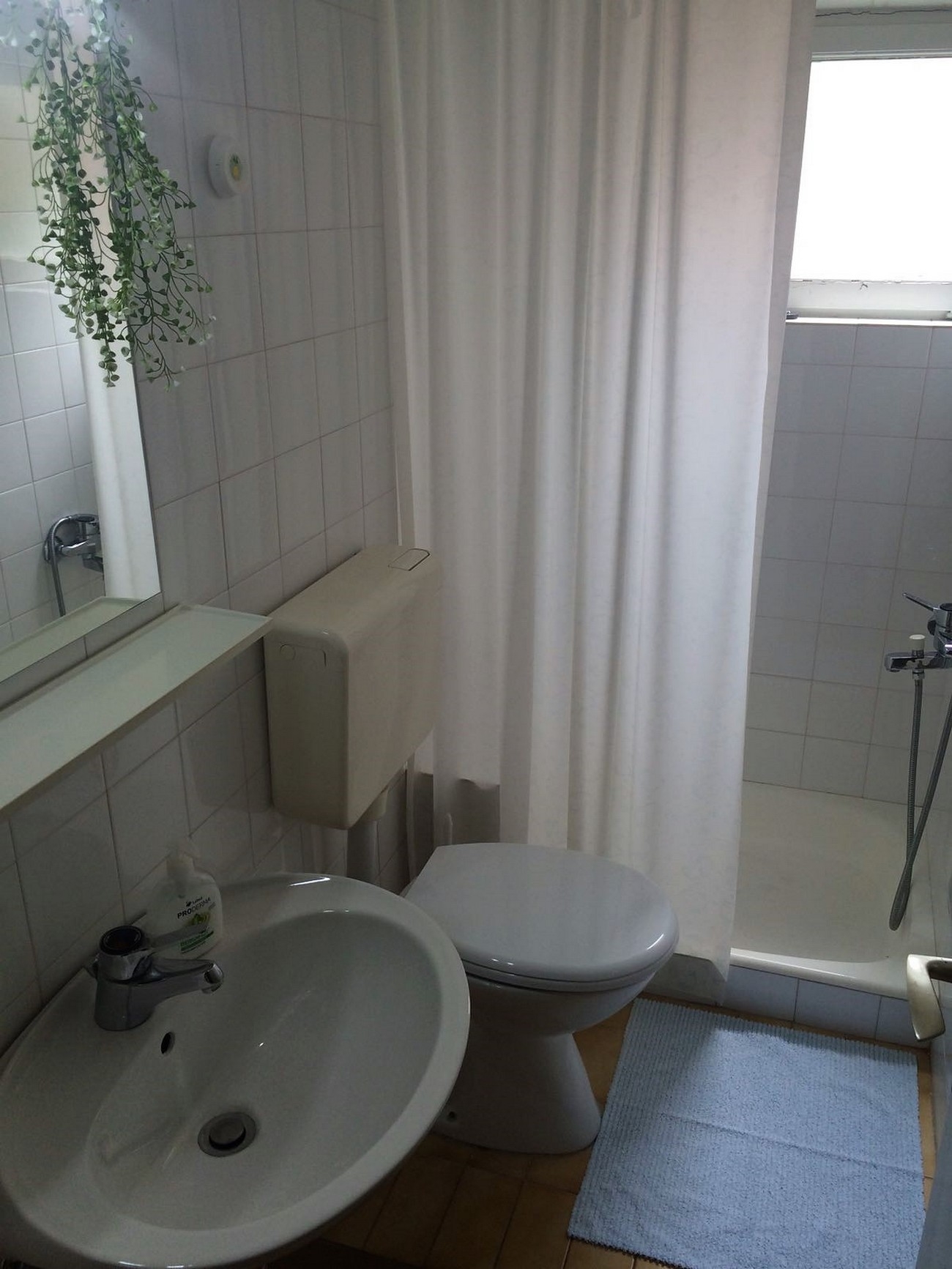 Two bedroom apartment with terrace and sea view Drašnice, Makarska  A-b