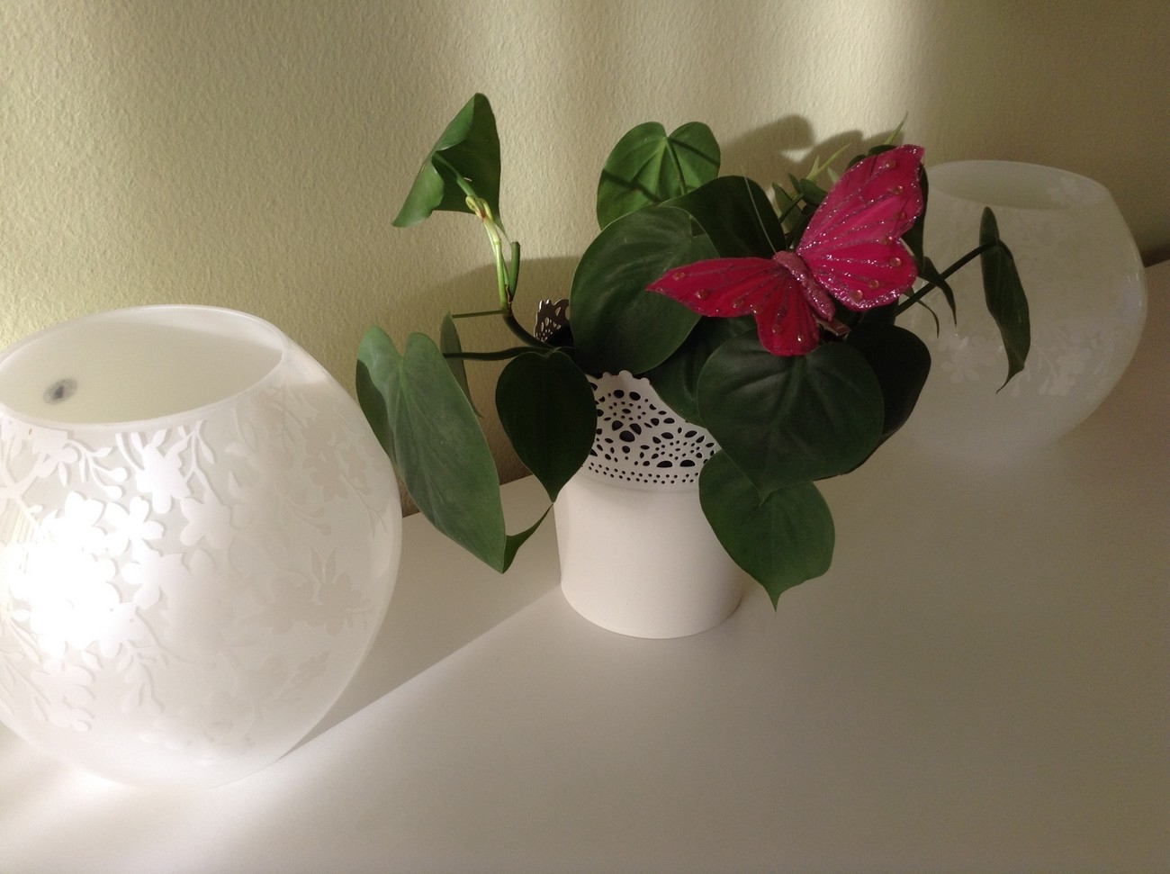 Top Makarska Drašnice Top Makarska Drašnice