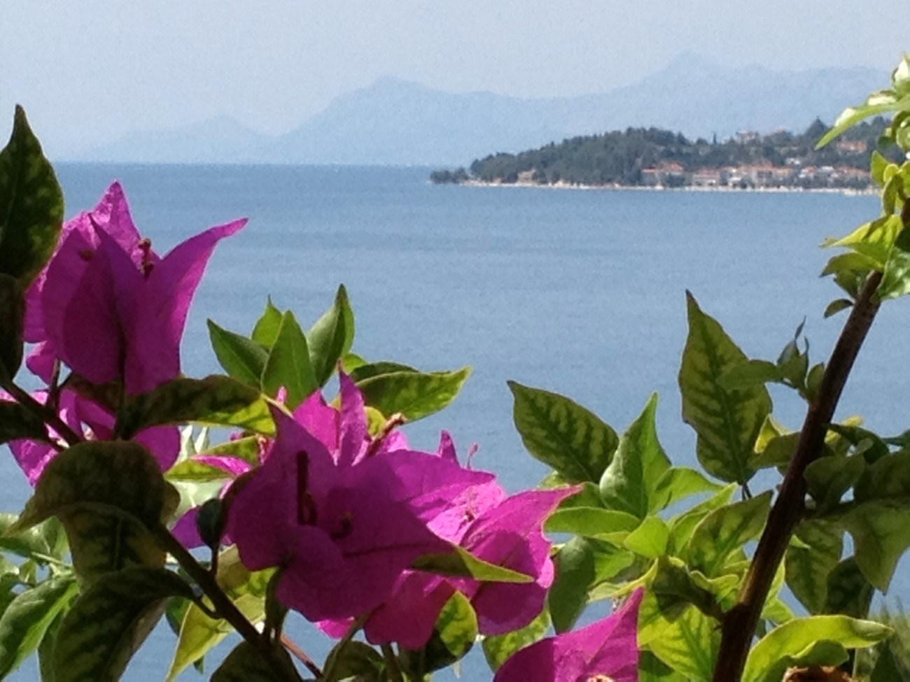 One bedroom apartment with terrace and sea view Drašnice, Makarska  A-c