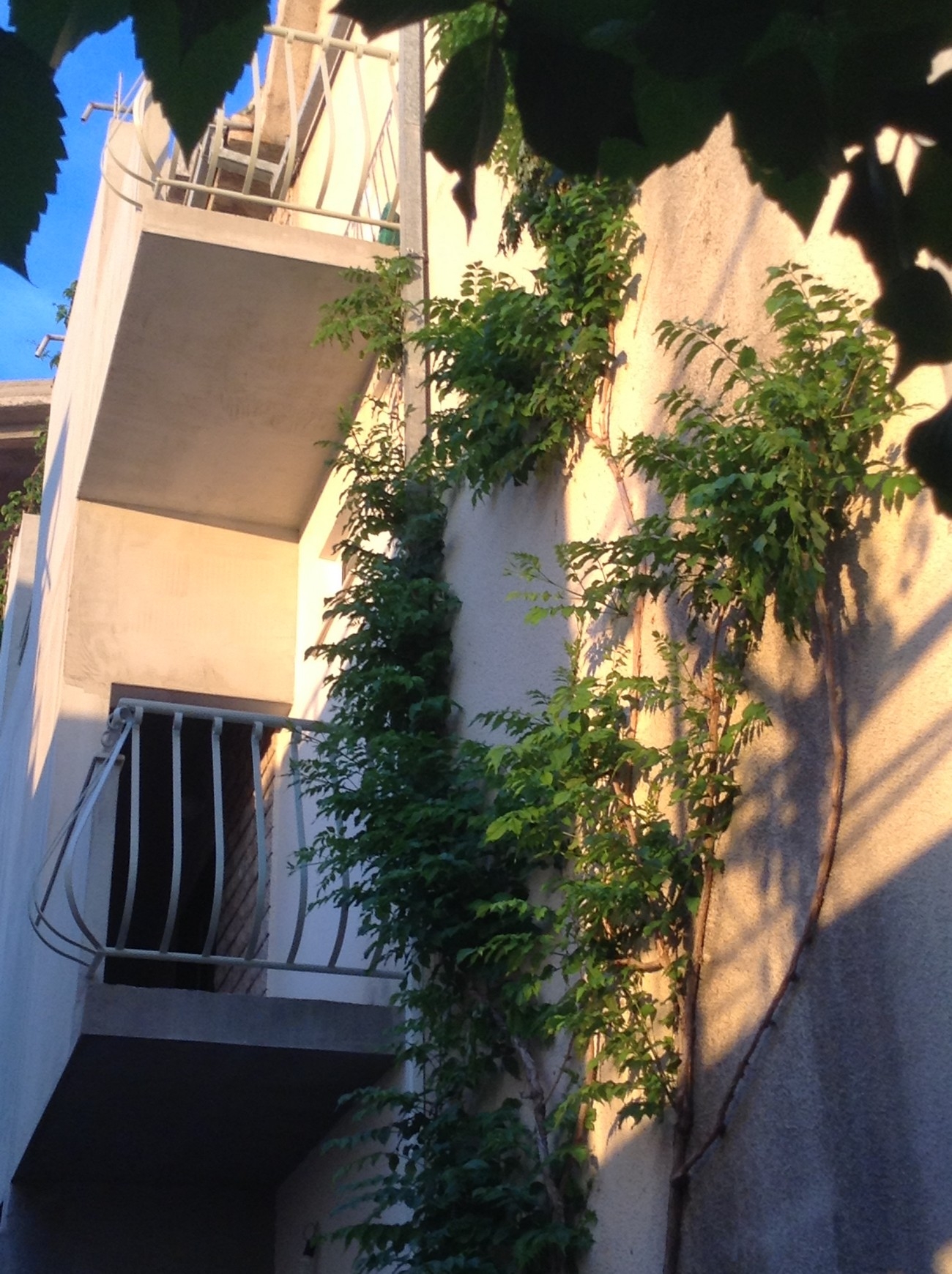 Top Makarska Drašnice Top Makarska Drašnice