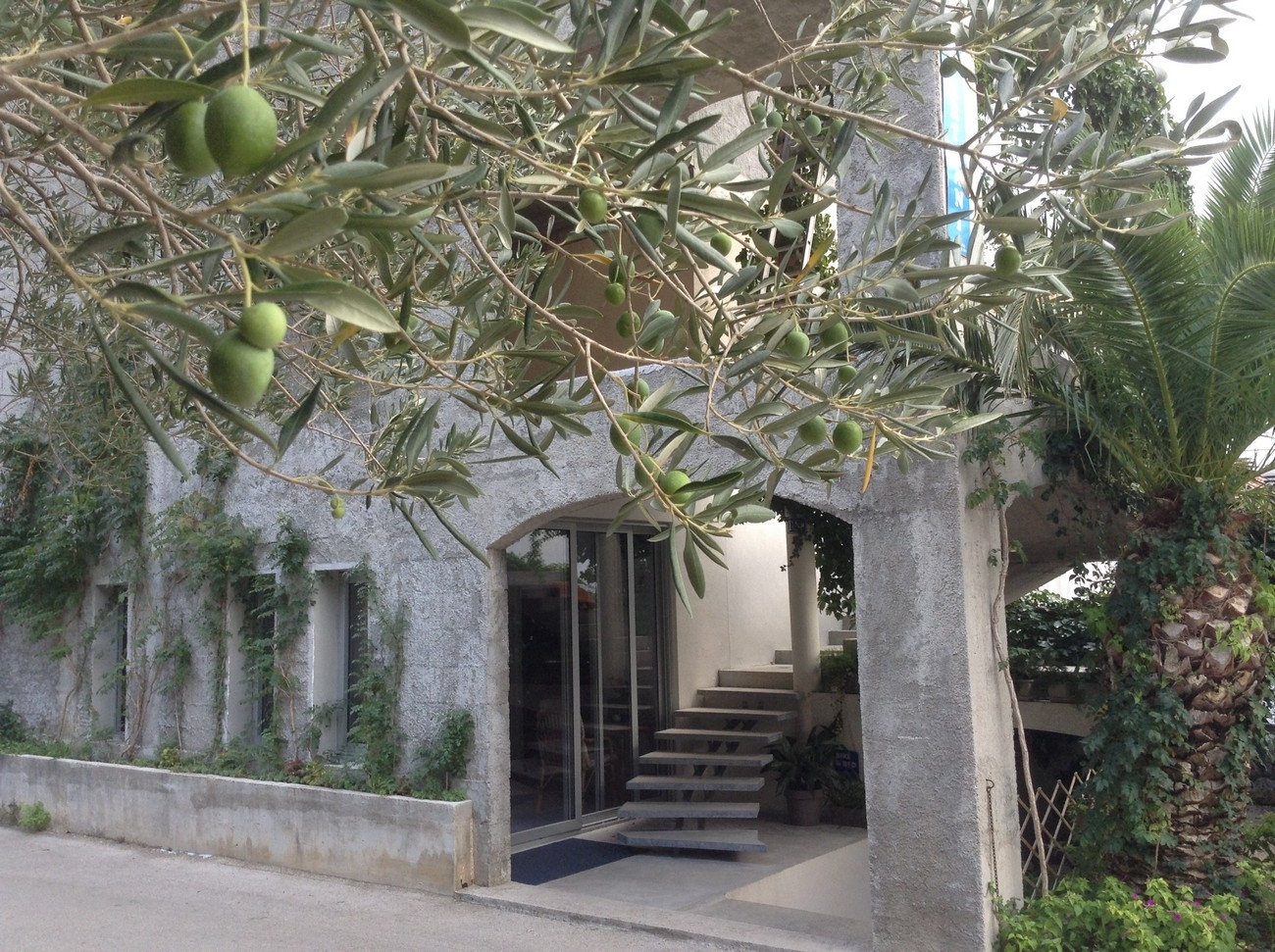 Top Makarska Drašnice Top Makarska Drašnice