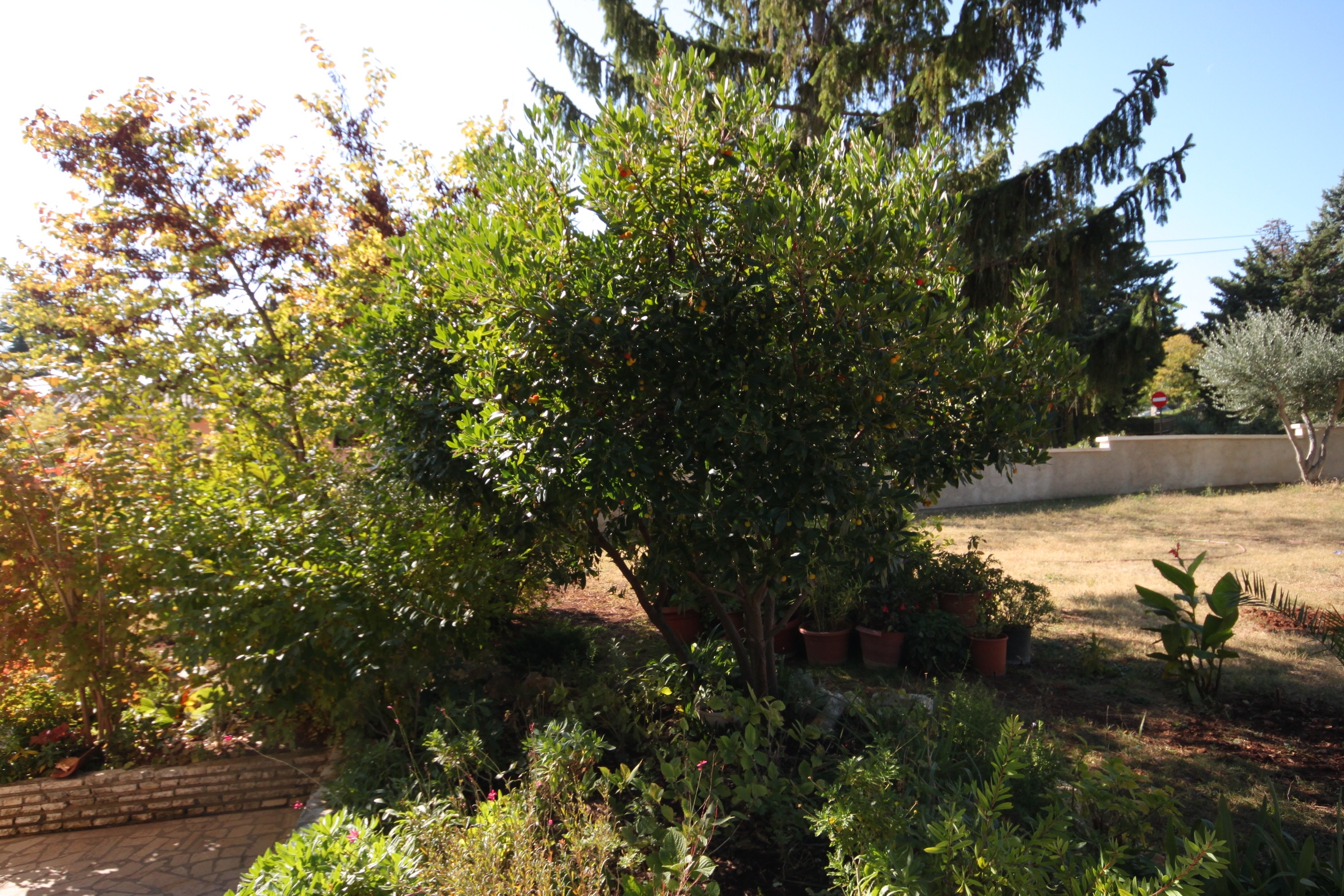 Two bedroom apartment with terrace Premantura, Medulin  A-b