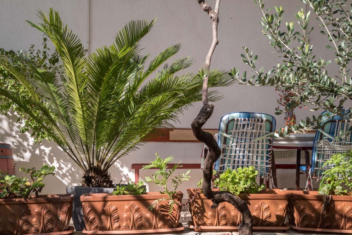 One bedroom apartment with terrace Marina, Trogir (A-22691-a) One bedroom apartment with terrace Marina, Trogir (A-22691-a)