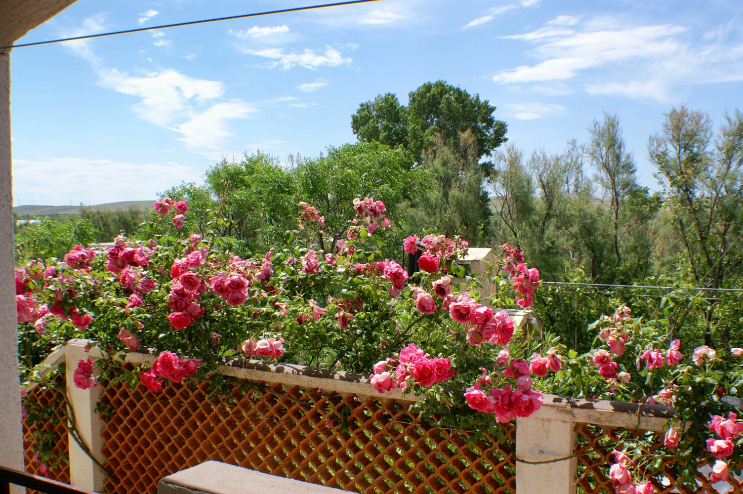 One bedroom apartment with terrace Povljana, Pag (A-227-a)