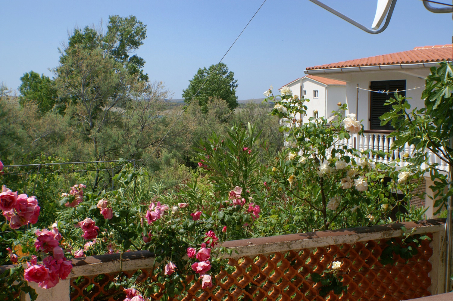 One bedroom apartment with terrace Povljana, Pag  A-a