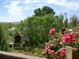 Povljana, Terrace - view in the apartment, WiFi.