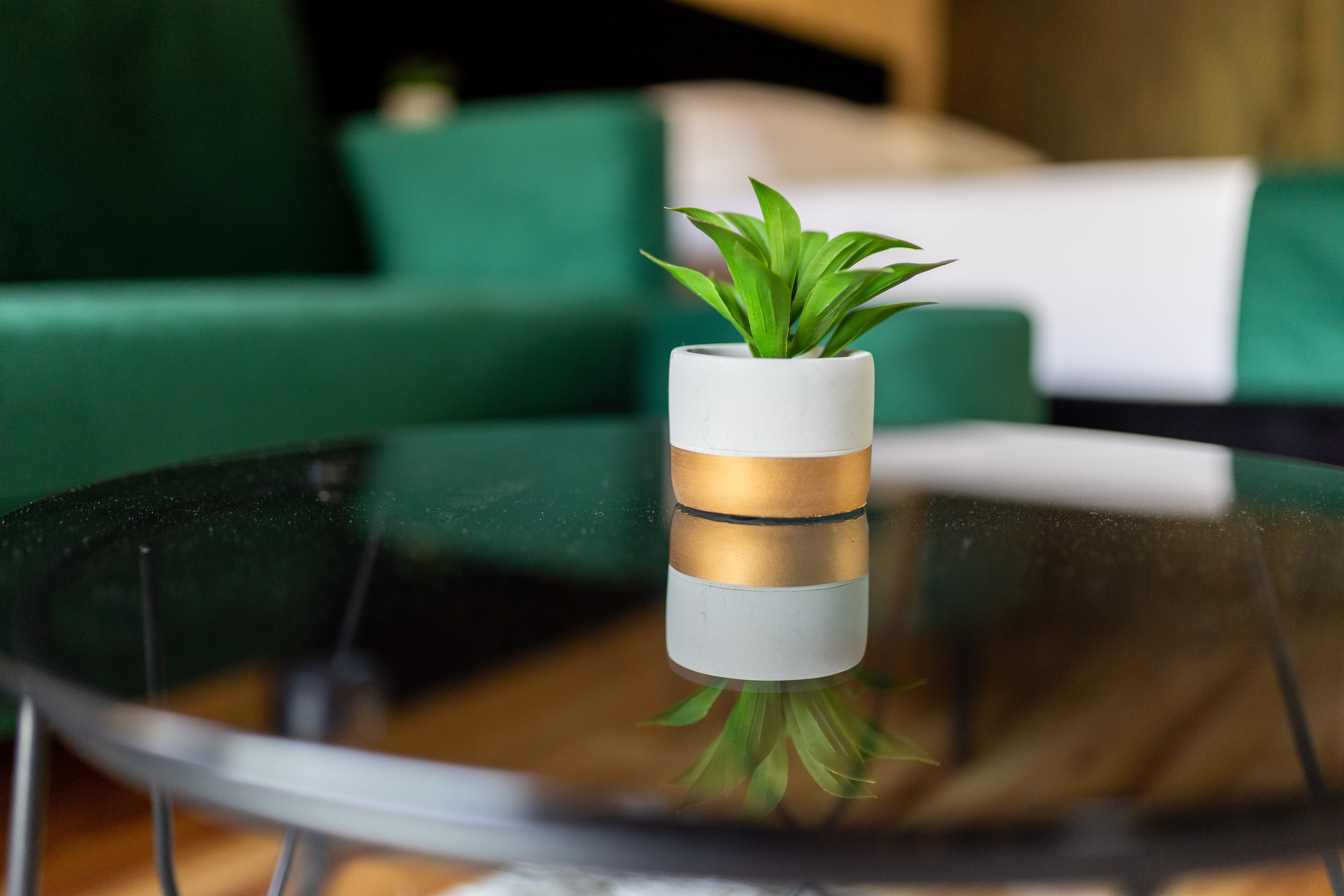 Top Međimurje Toplice Sveti Martin Top Međimurje Toplice Sveti Martin