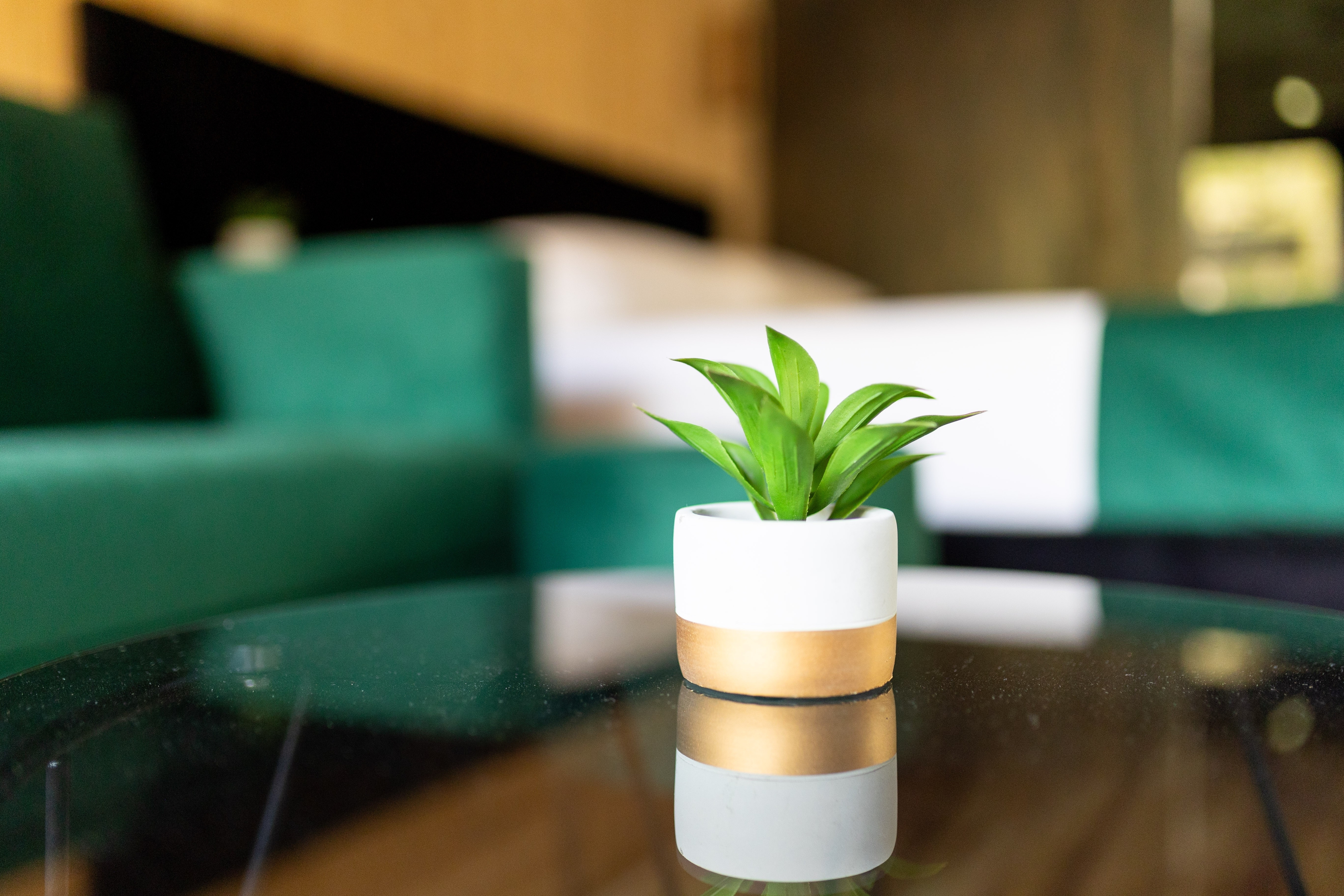 Top Međimurje Toplice Sveti Martin Top Međimurje Toplice Sveti Martin