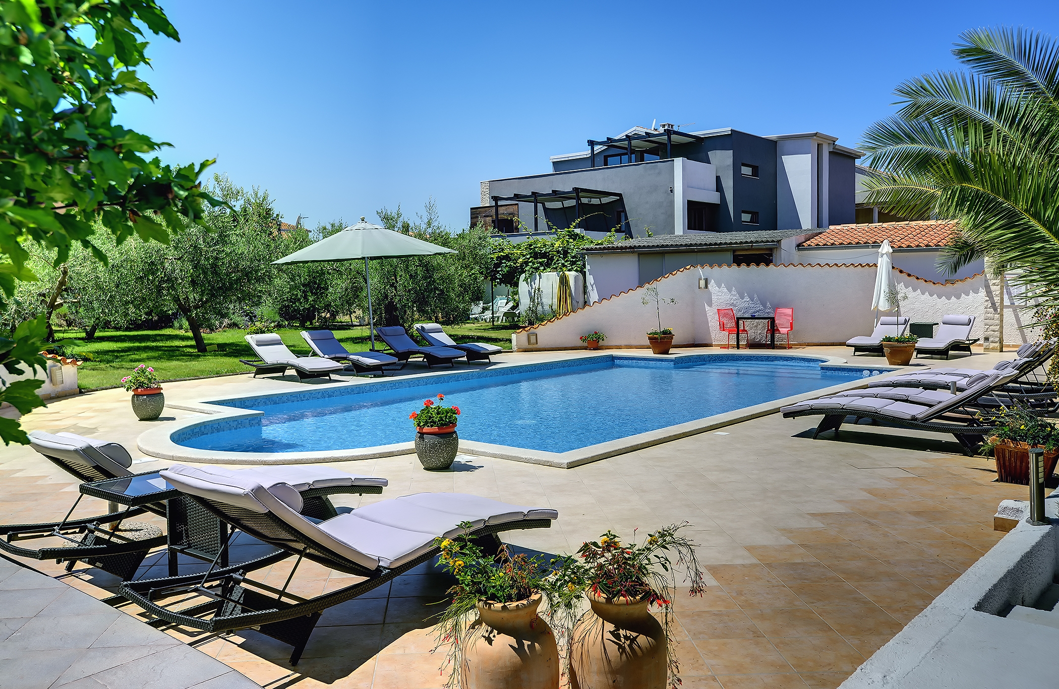 Top Medulin Top Medulin