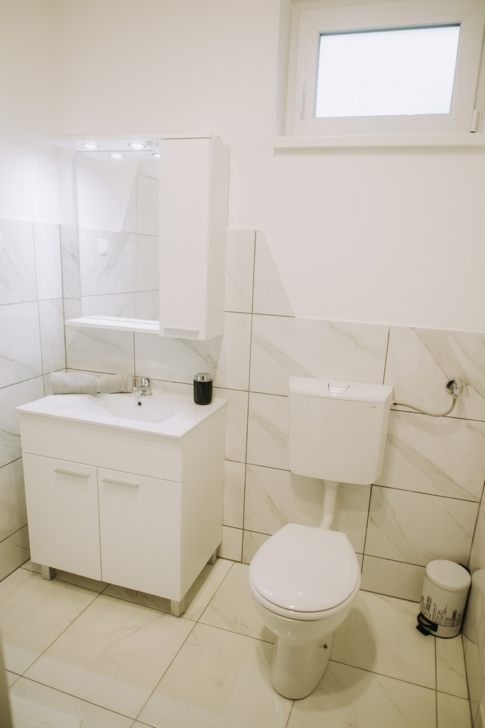 Four bedroom house with terrace Vukovar, Slavonija  K