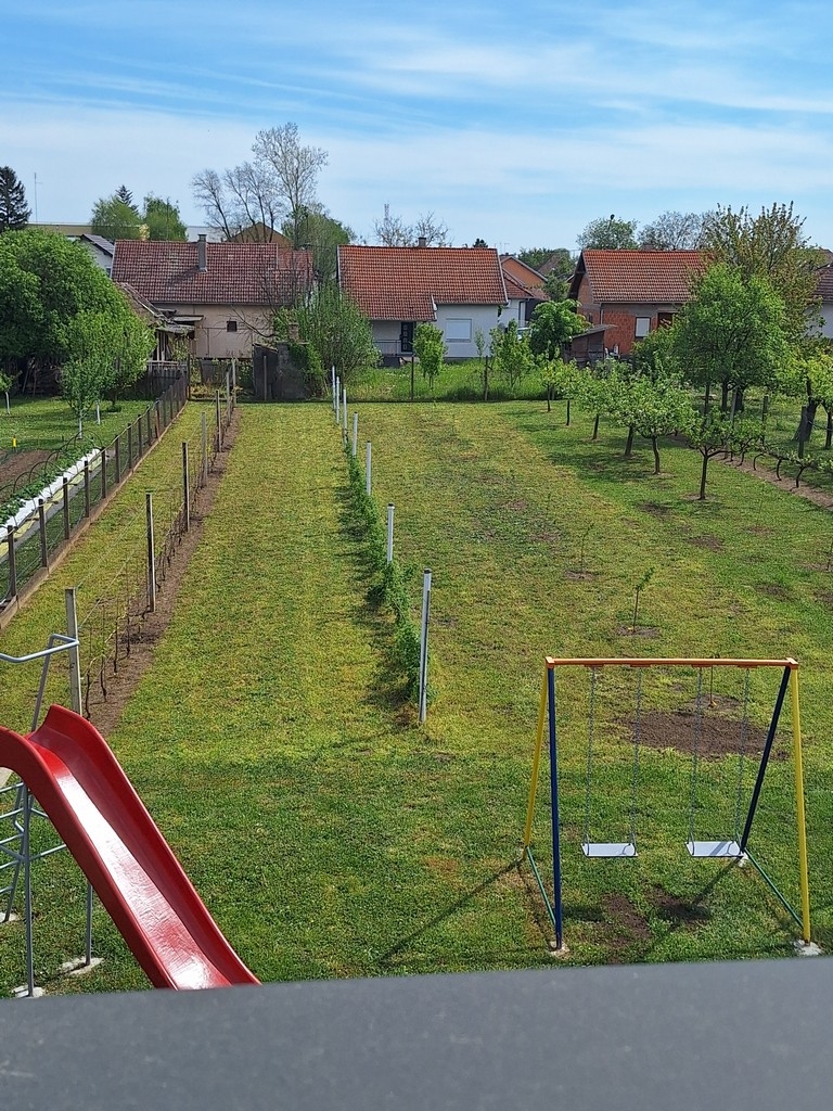 Four bedroom house with terrace Vukovar, Slavonija  K