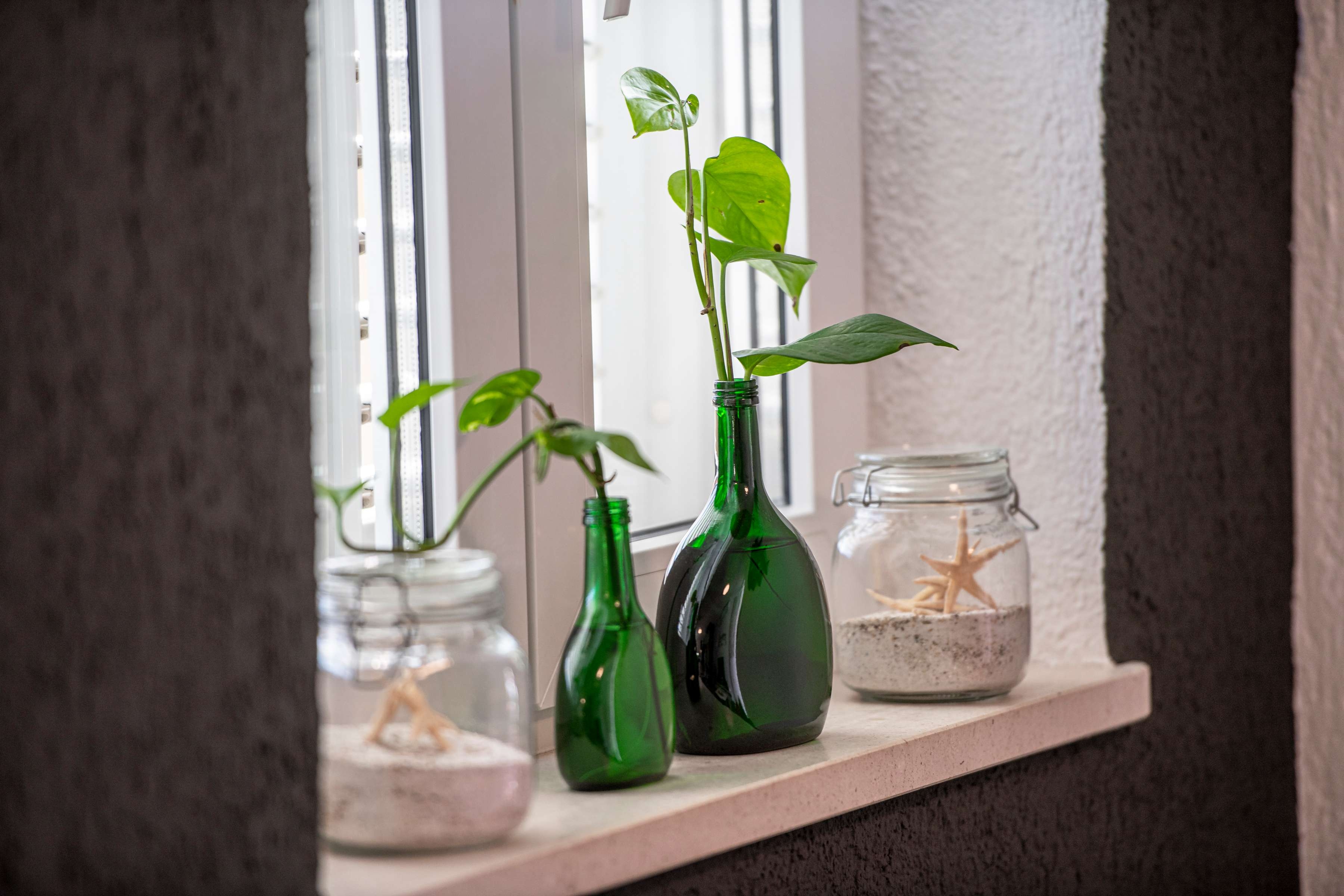 Top Dubrovnik Cavtat Top Dubrovnik Cavtat