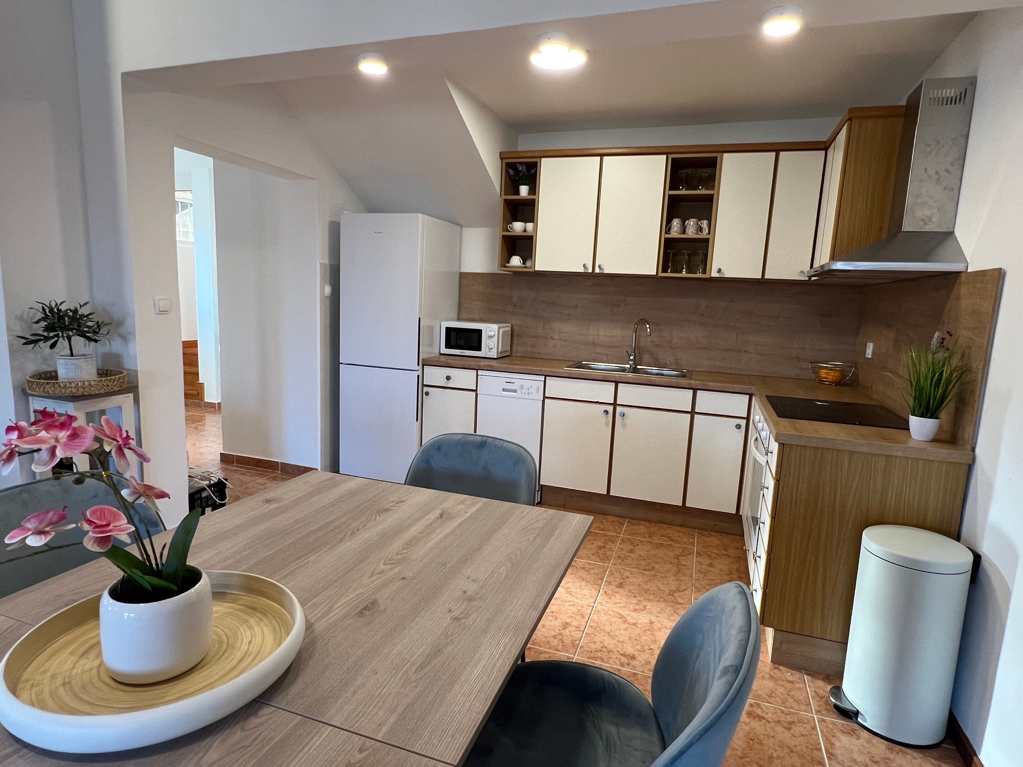 Three bedroom house with terrace and sea view Pisak, Omiš  K