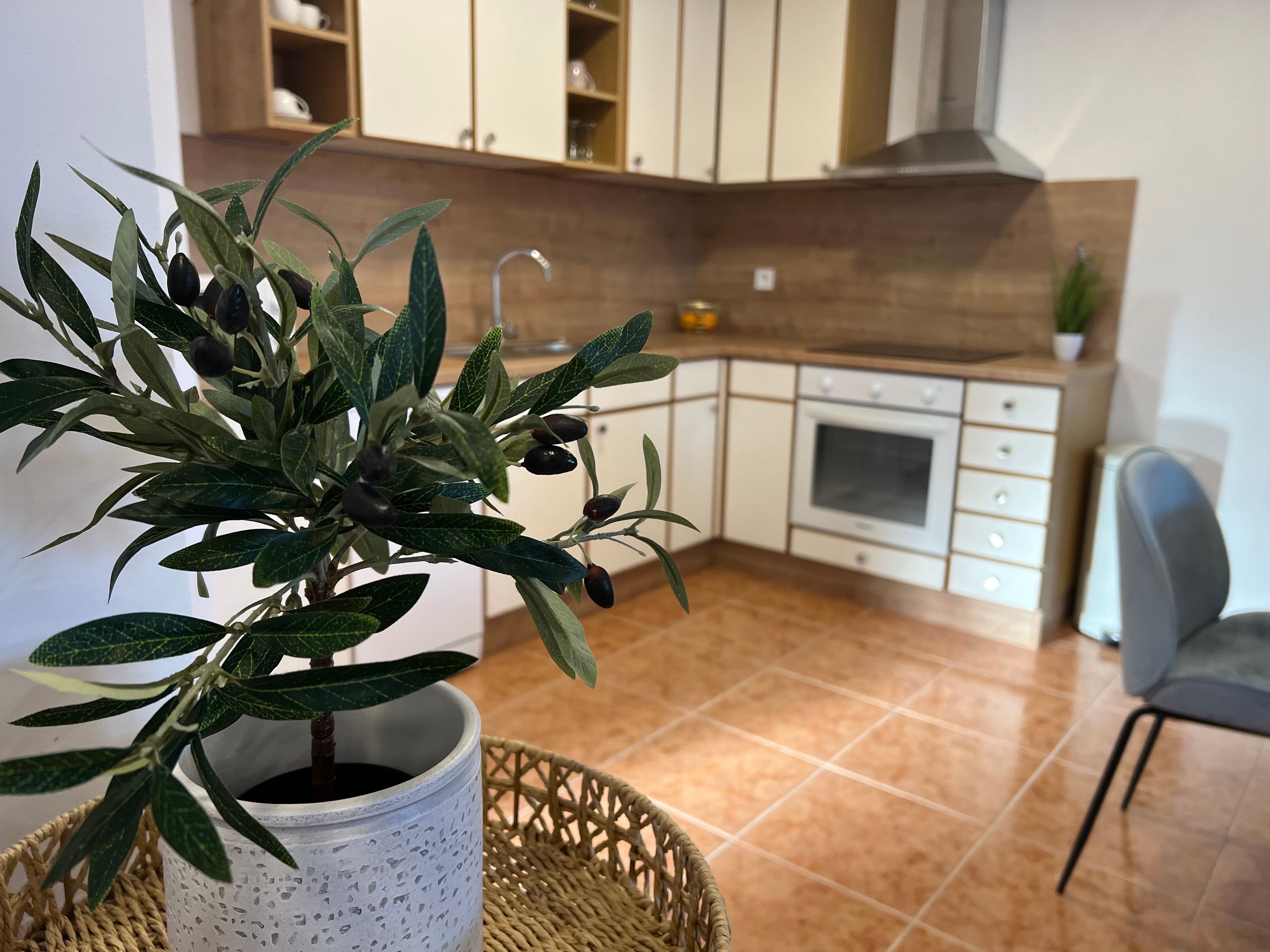 Three bedroom house with terrace and sea view Pisak, Omiš  K