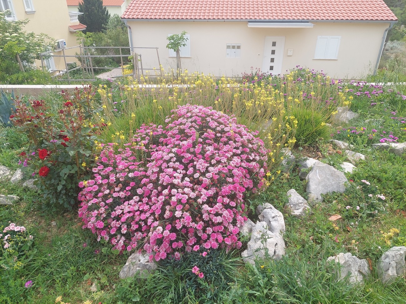 One bedroom apartment with terrace and sea view Barbat, Rab (A-22863-b)