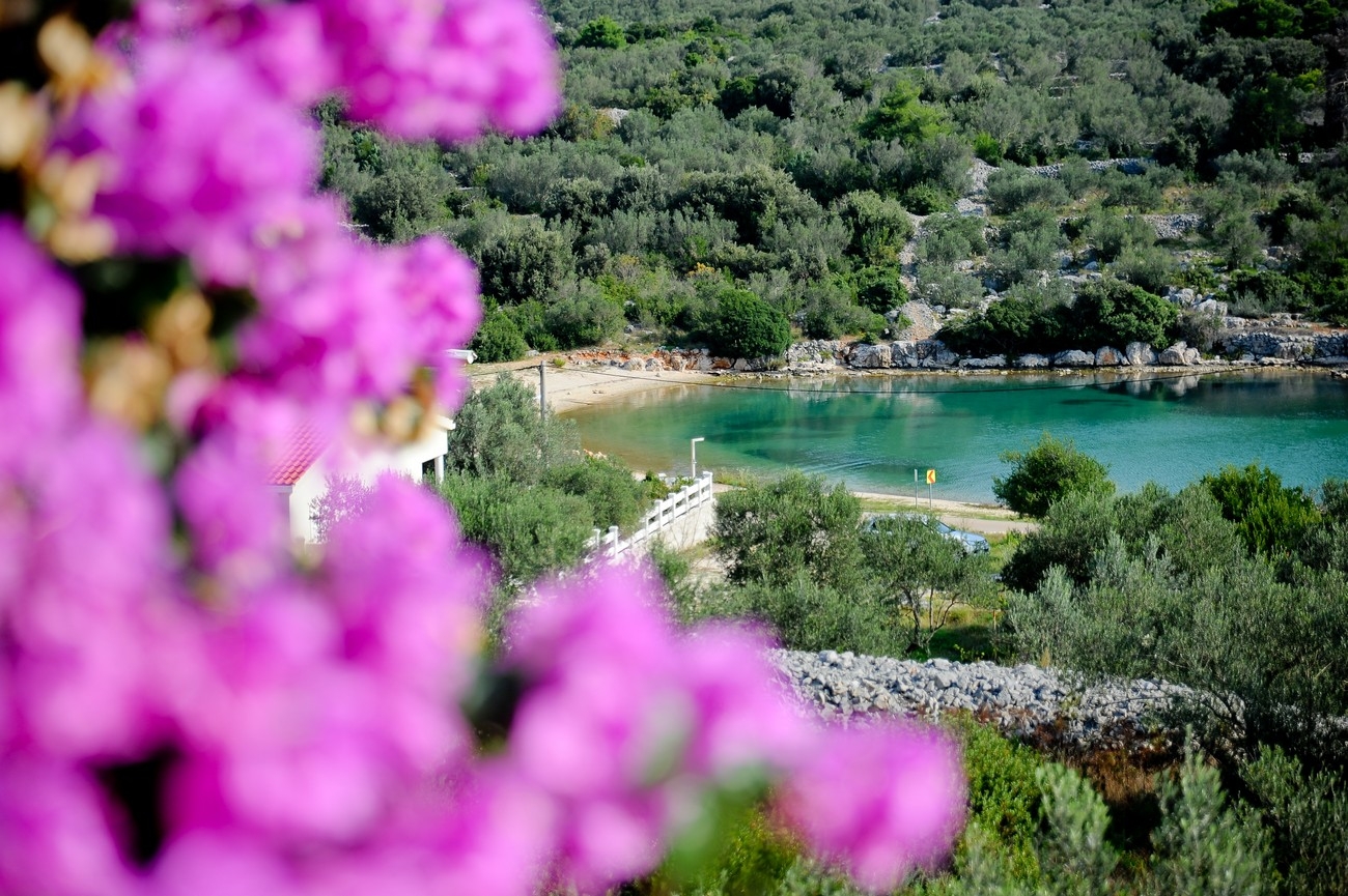 One bedroom apartment with terrace and sea view Cove Mala Lamjana, Ugljan (A-22928-b) One bedroom apartment with terrace and sea view Cove Mala Lamjana, Ugljan (A-22928-b)