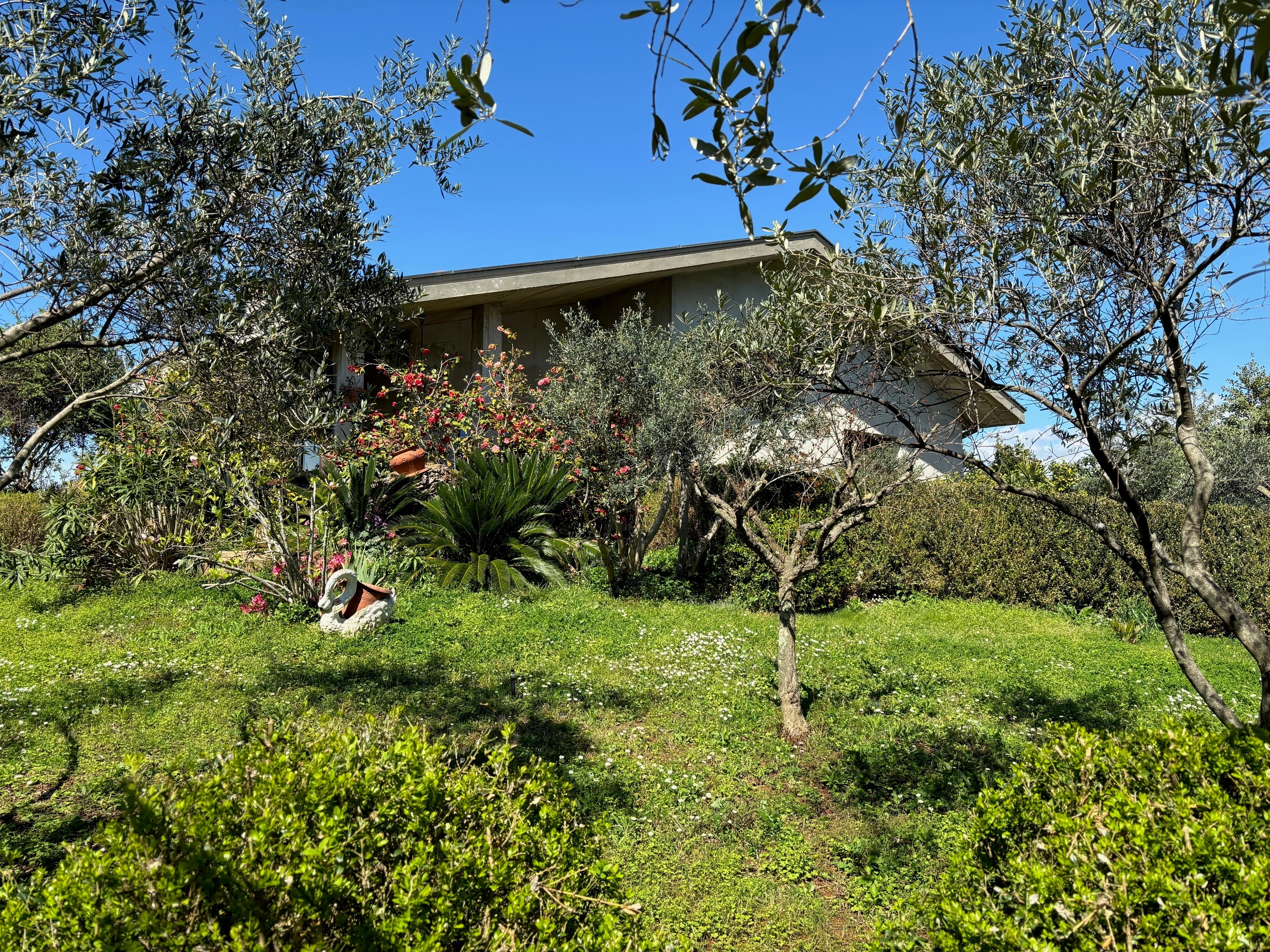 One bedroom apartment with terrace Galižana, Fažana (A-22977-b)