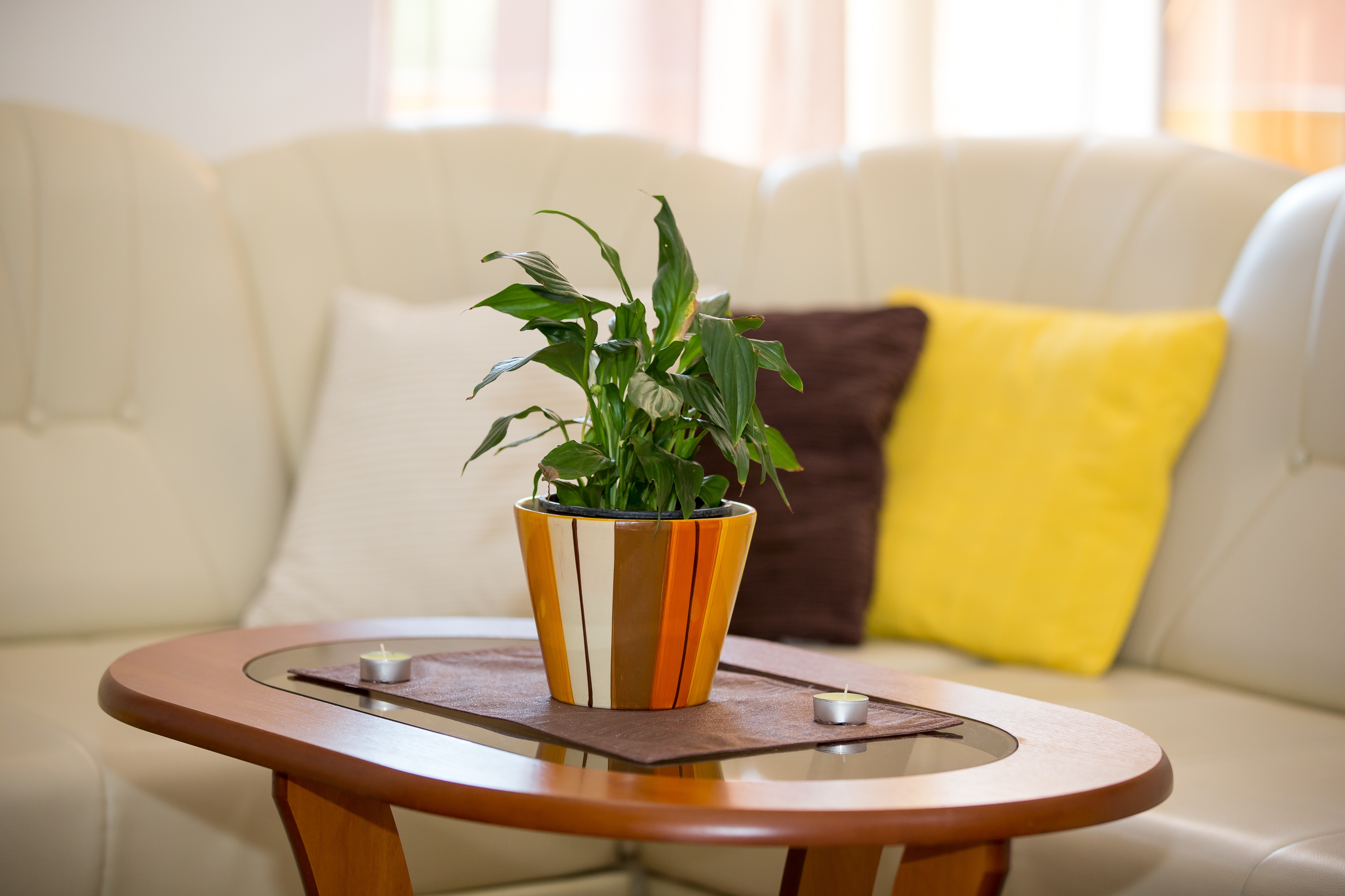 Top Rab Lopar Top Rab Lopar