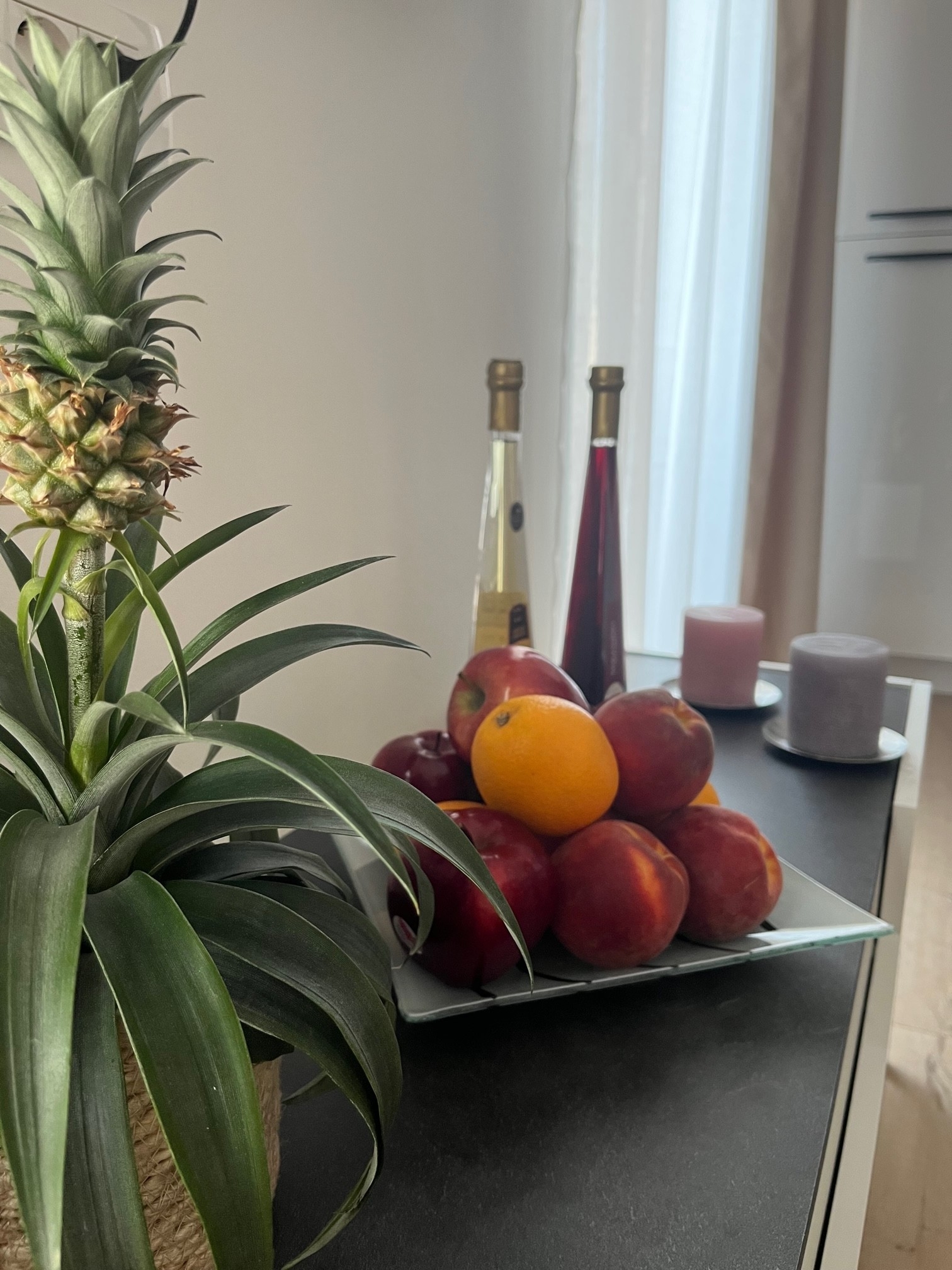 Top Lošinj Mali Lošinj Top Lošinj Mali Lošinj