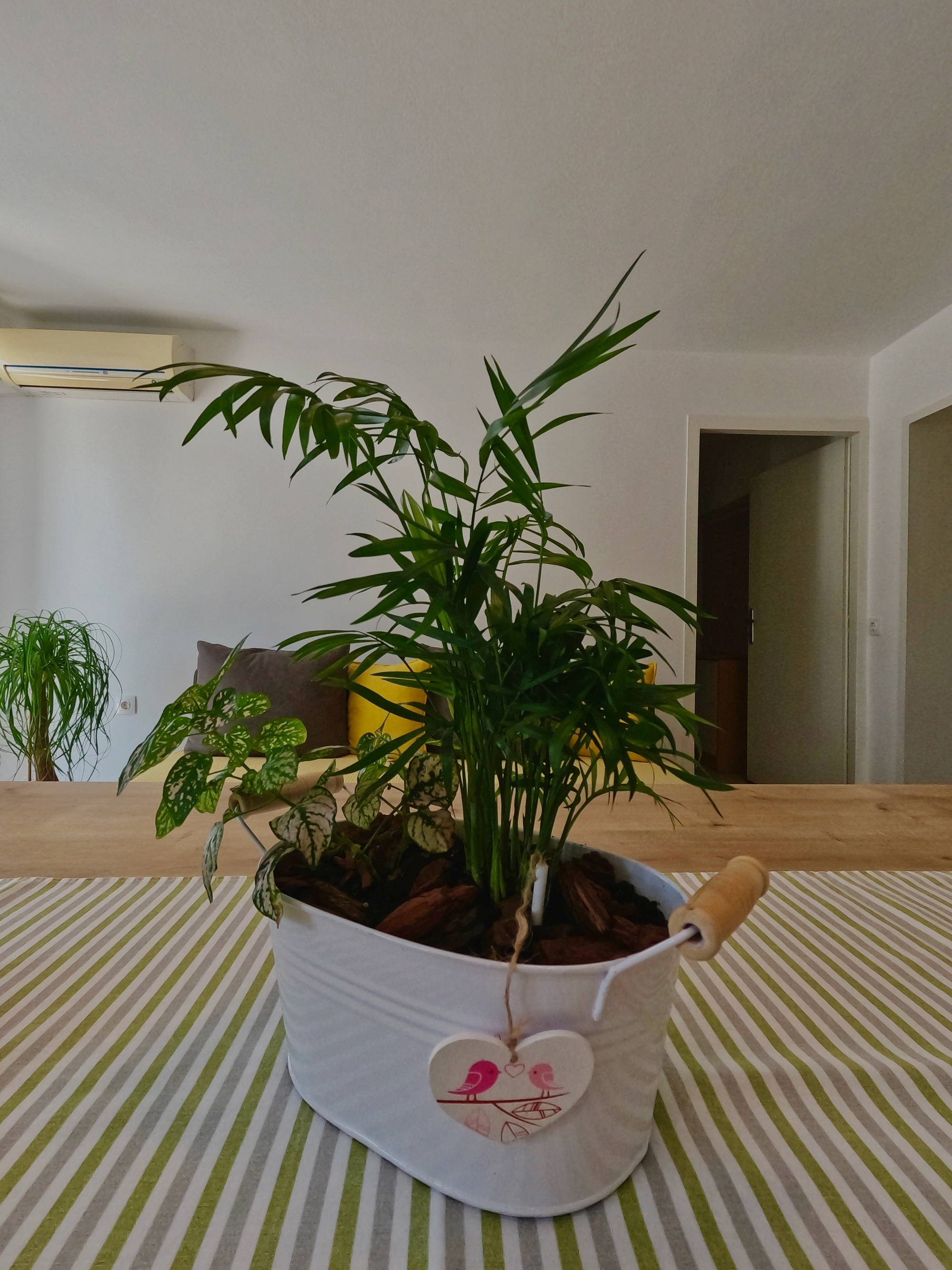 Top Crikvenica Top Crikvenica