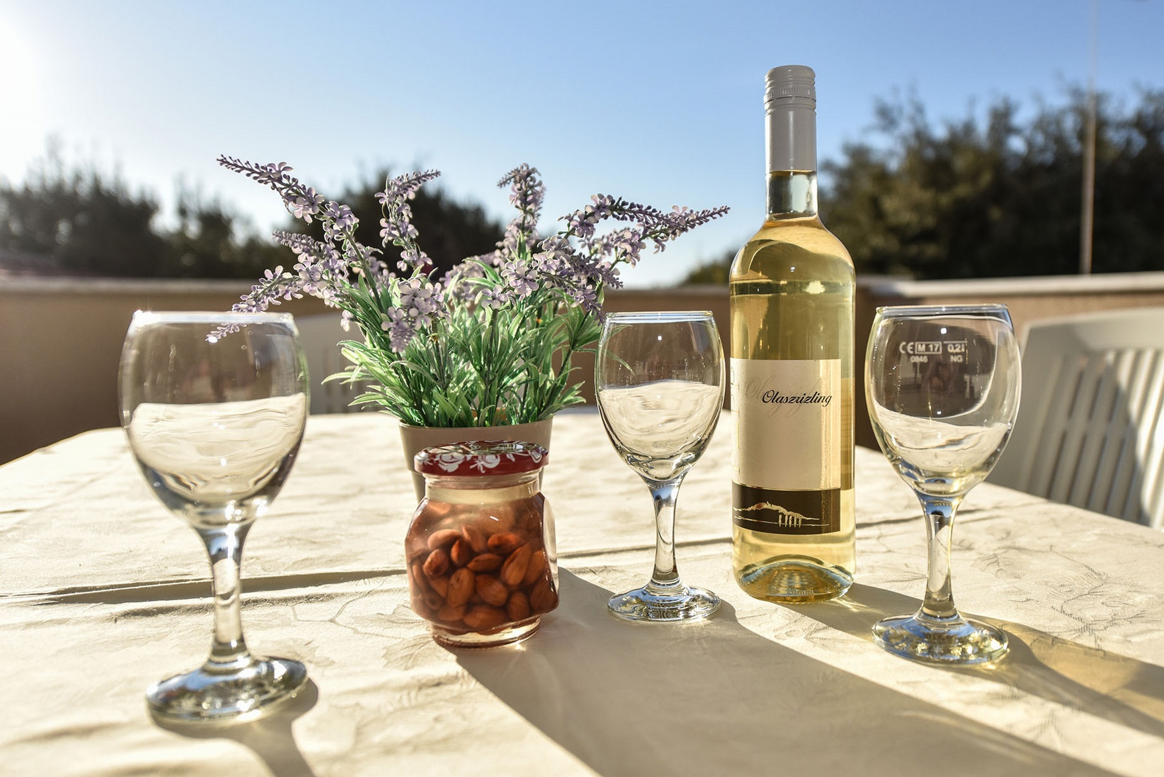 Top Pag Mandre Top Pag Mandre