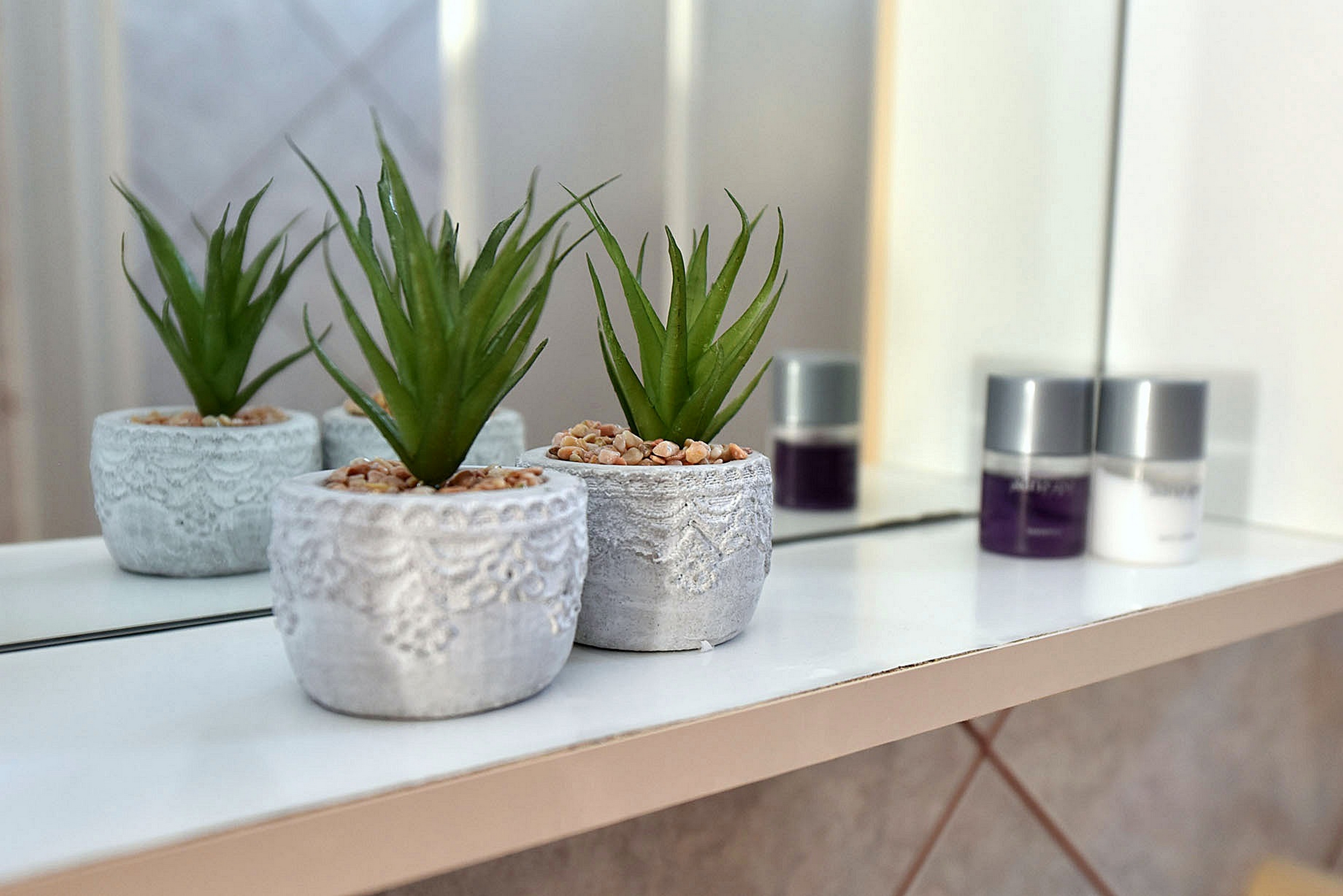 Top Pag Mandre Top Pag Mandre