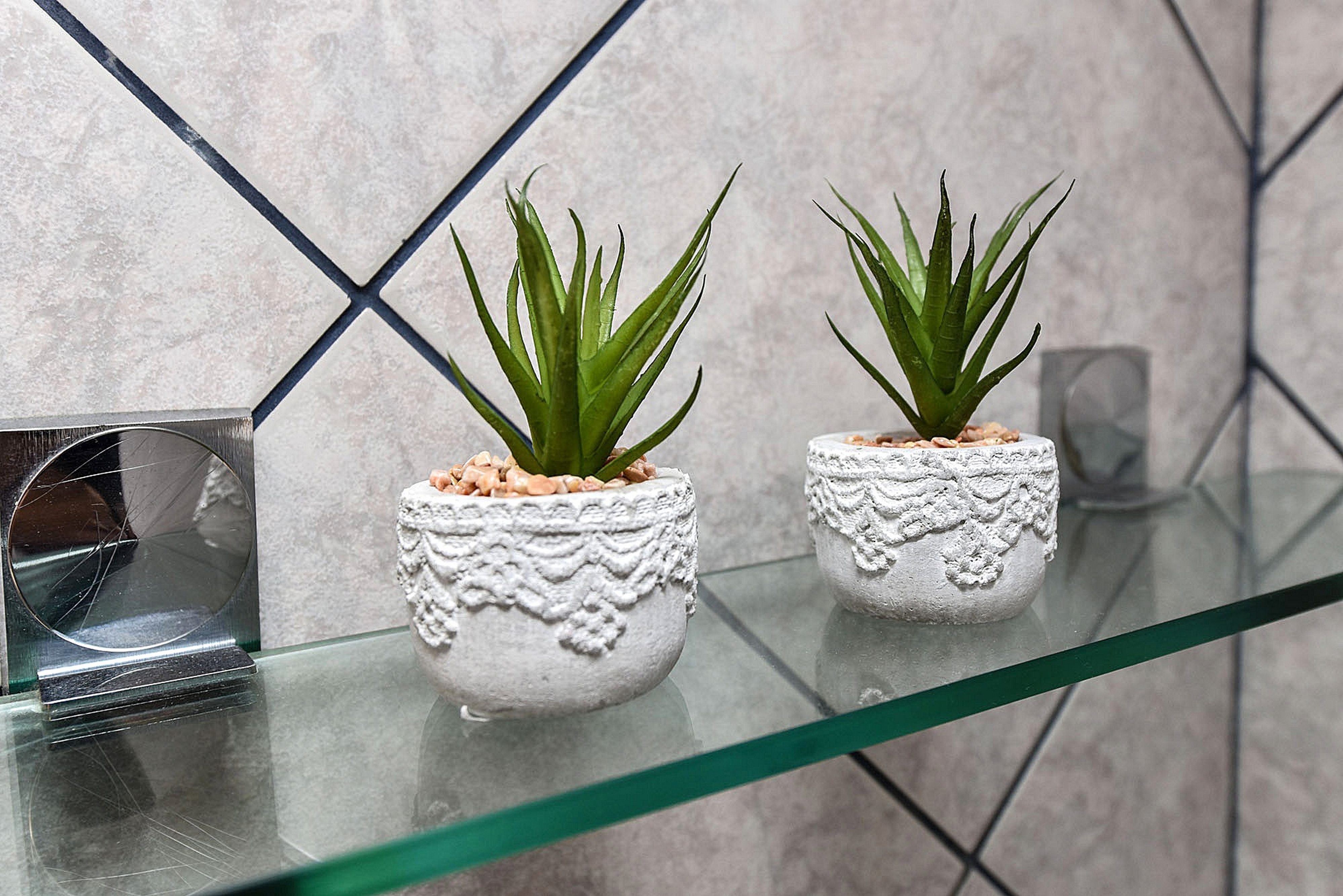 Top Pag Mandre Top Pag Mandre