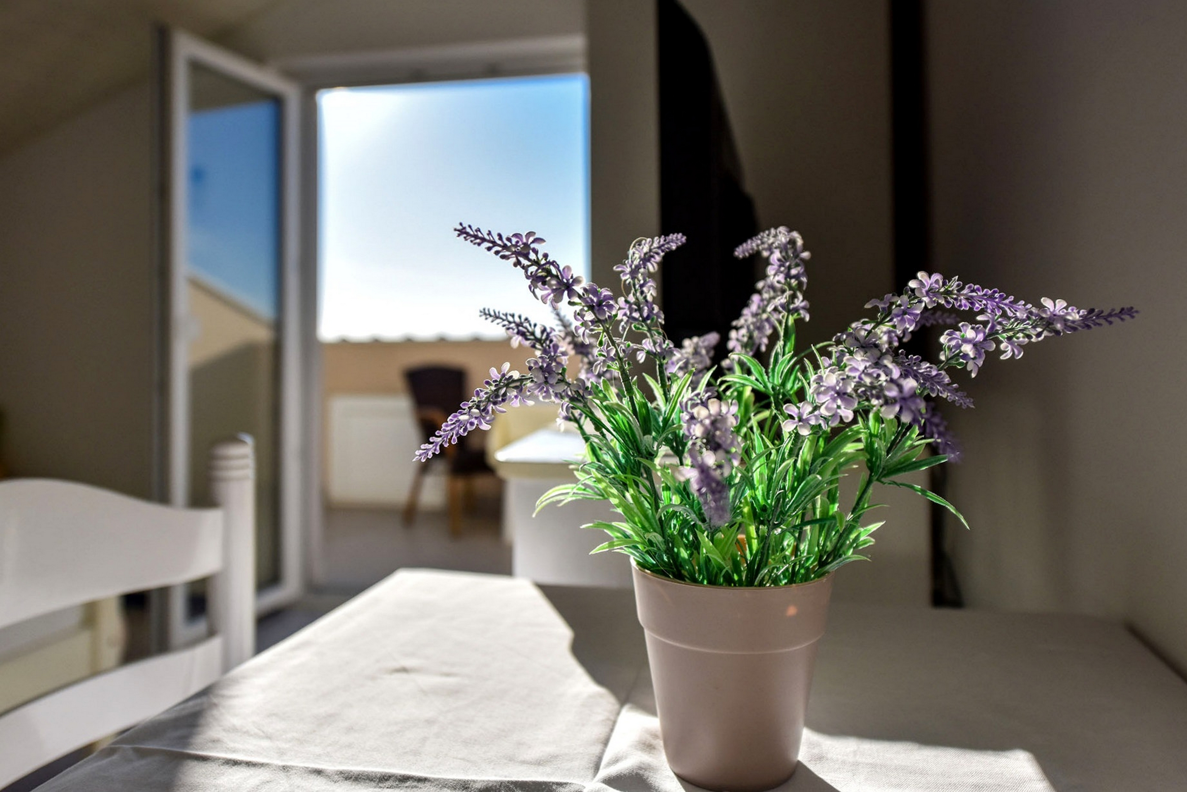 Studio flat with balcony and sea view Mandre, Pag (AS-23187-e)